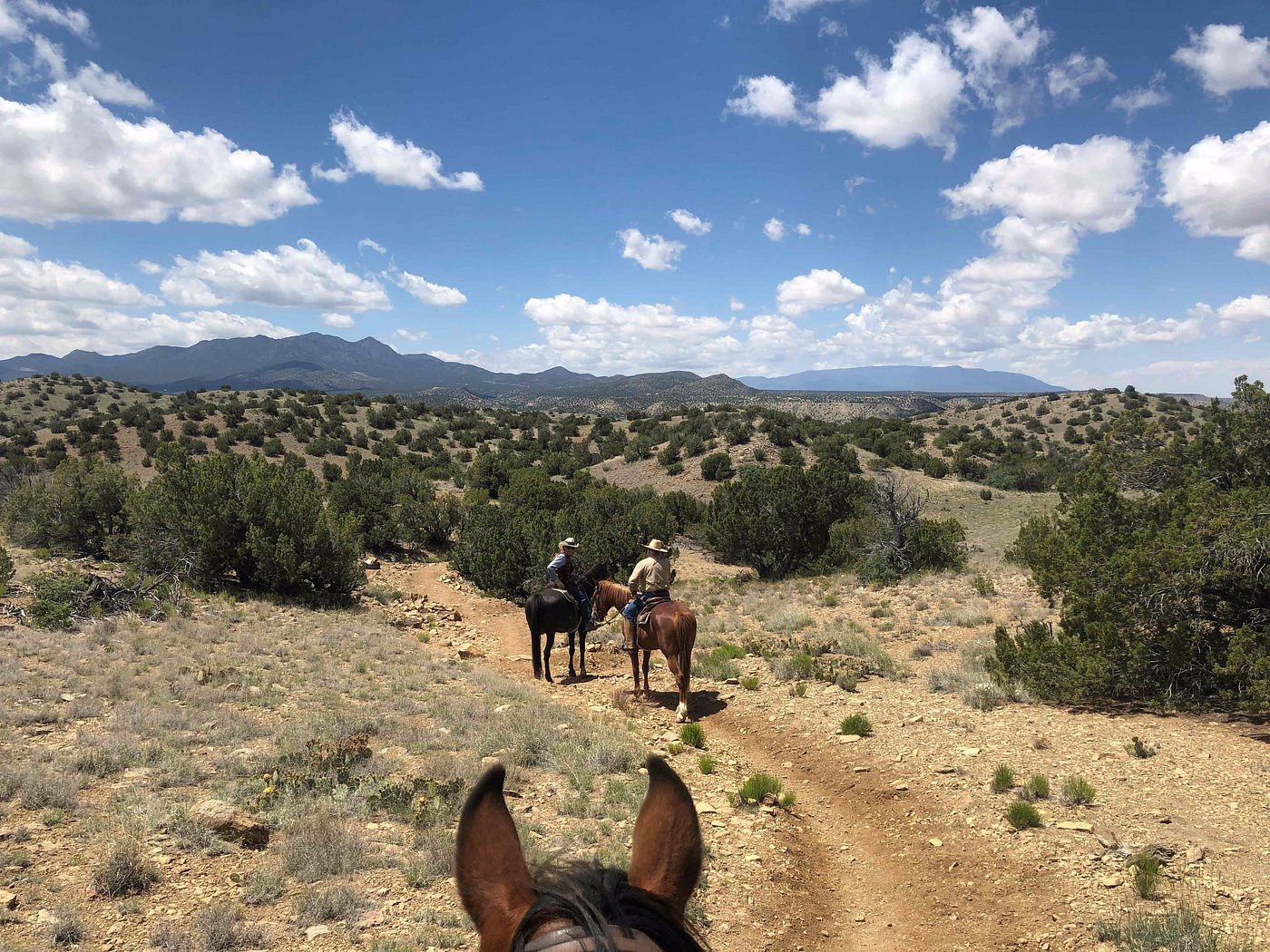 Two people riding horses on a dirt trail through a semi-arid landscape with shrubs and small trees, under a partly cloudy sky with mountains in the distance.