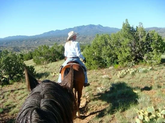 Person riding a horse on a trail through a desert landscape with green bushes and mountains in the background.