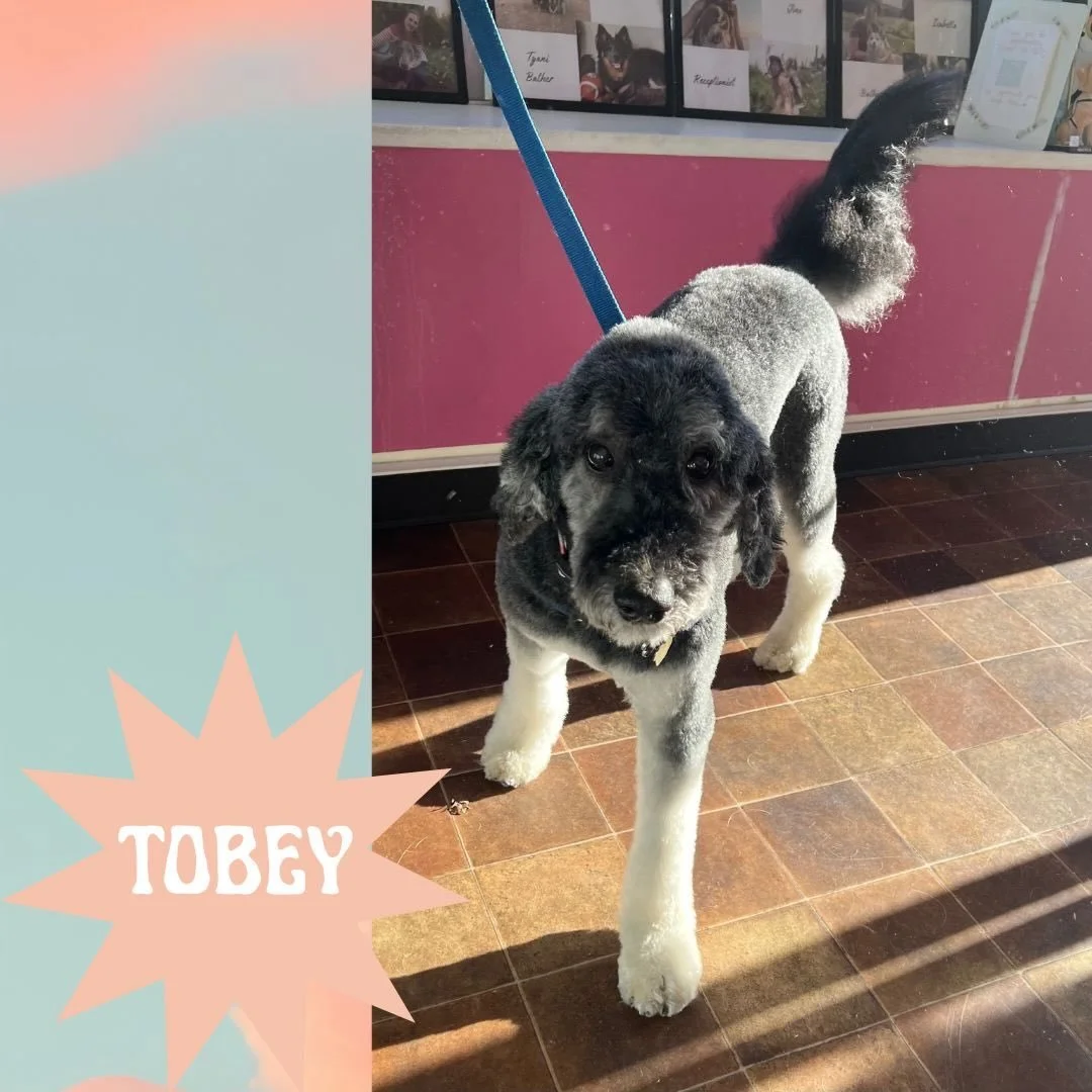We&rsquo;re as excited as Tobey to step into this sunny weekend! 🤩
