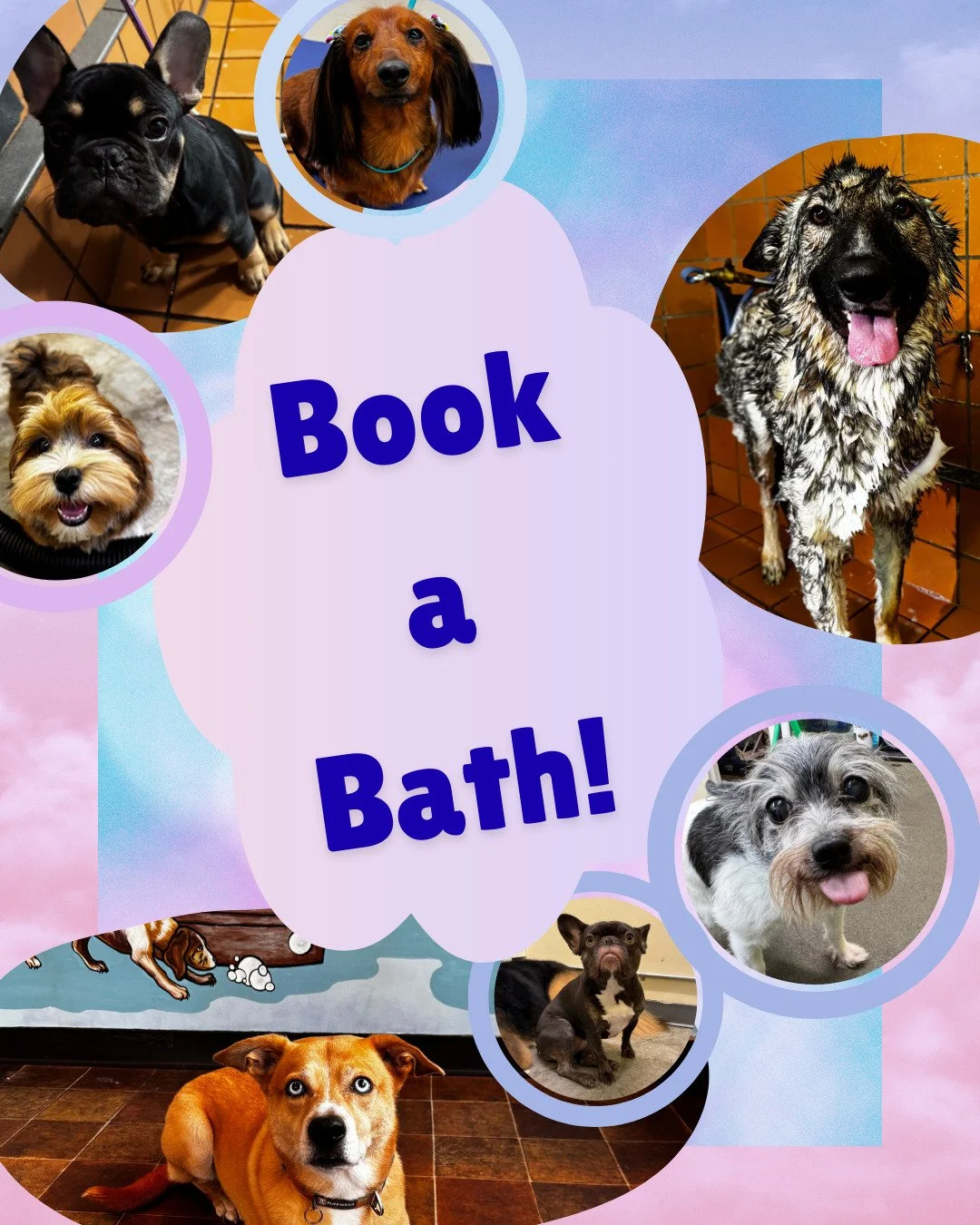 Not all dogs need a haircut to go from Scruff to Fluff! Try our Bath &amp; Brush service &mdash; perfect for pups looking to get pampered for the holidays. Baths include a papaya shampoo, blueberry facial, eucalyptus ear-cleanse, paw-pad shave, and n