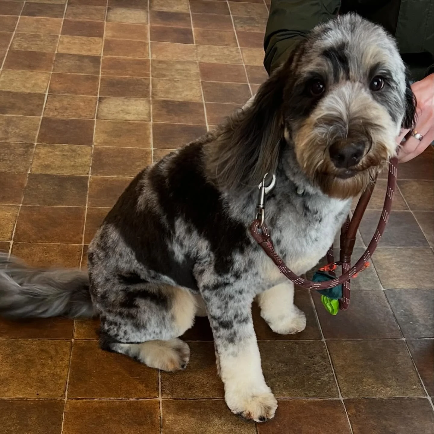 Tina doesn&rsquo;t usually wake up early on Saturdays, but she was willing to do so for us today 😆 Even on weekends, Scruff to Fluff opens at 7am! 🌇