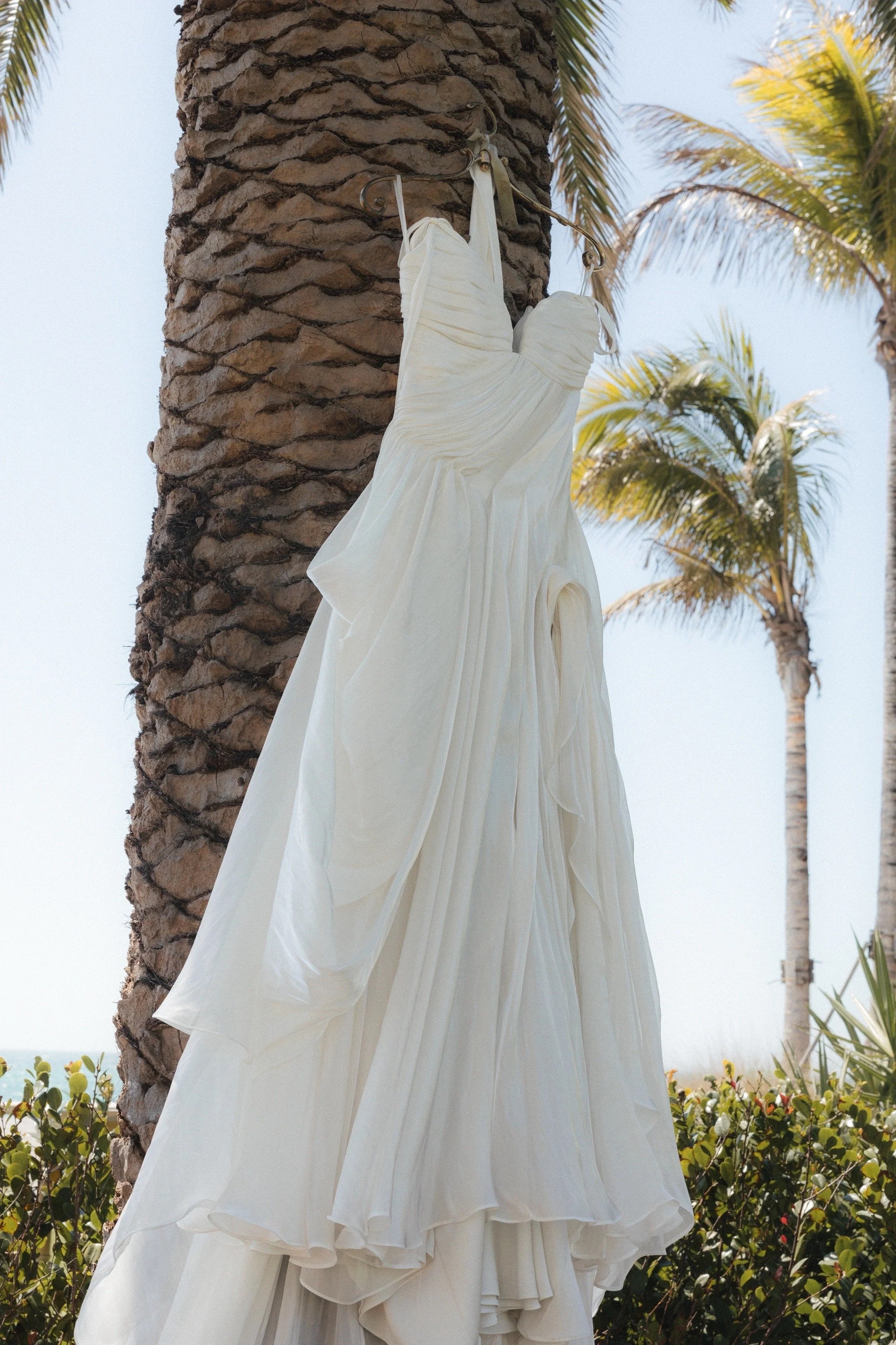 Bridal gown hanging on palm tree at the St. Regis Longboat Key, Tampa Bay Luxury wedding photographer Divine Design Photography
