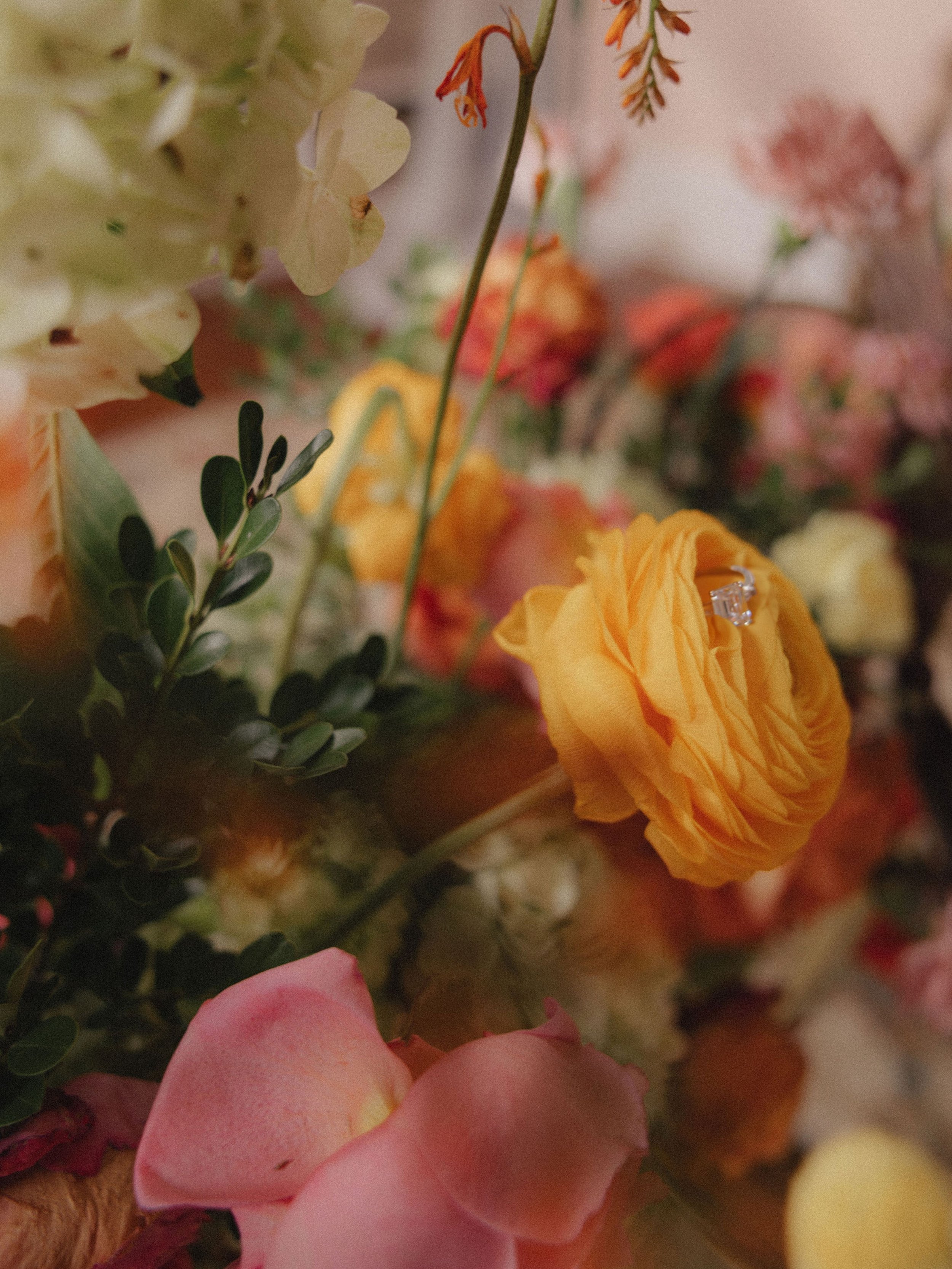 Close-up of a yellow flower with a ring on it, surrounded by various other colorful flowers and green foliage.