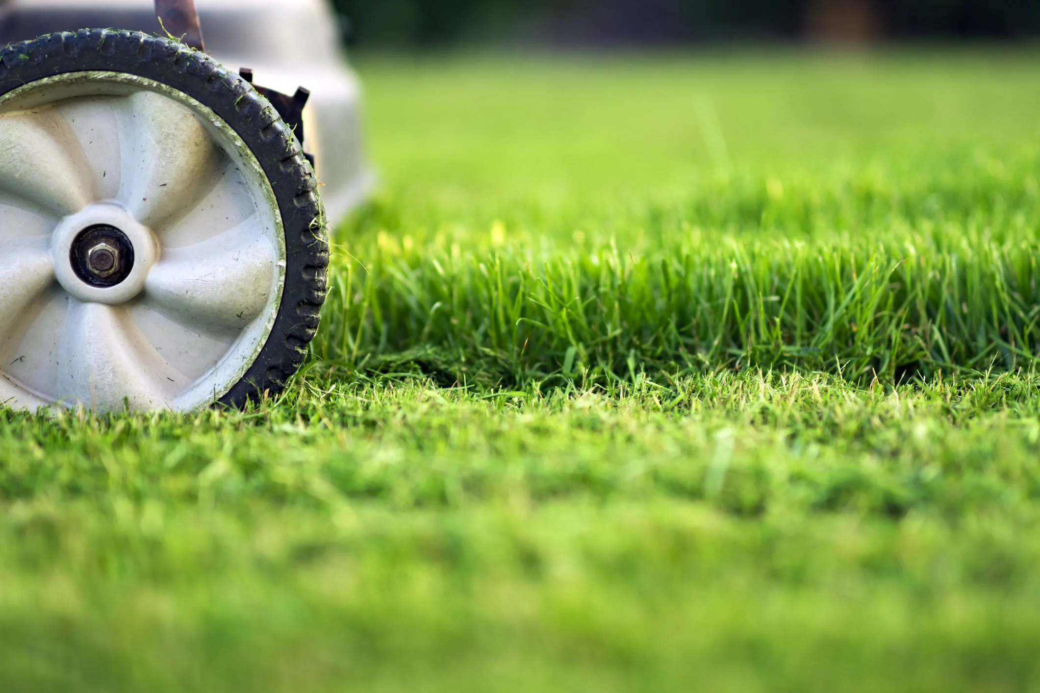 Lawn care and maintenance