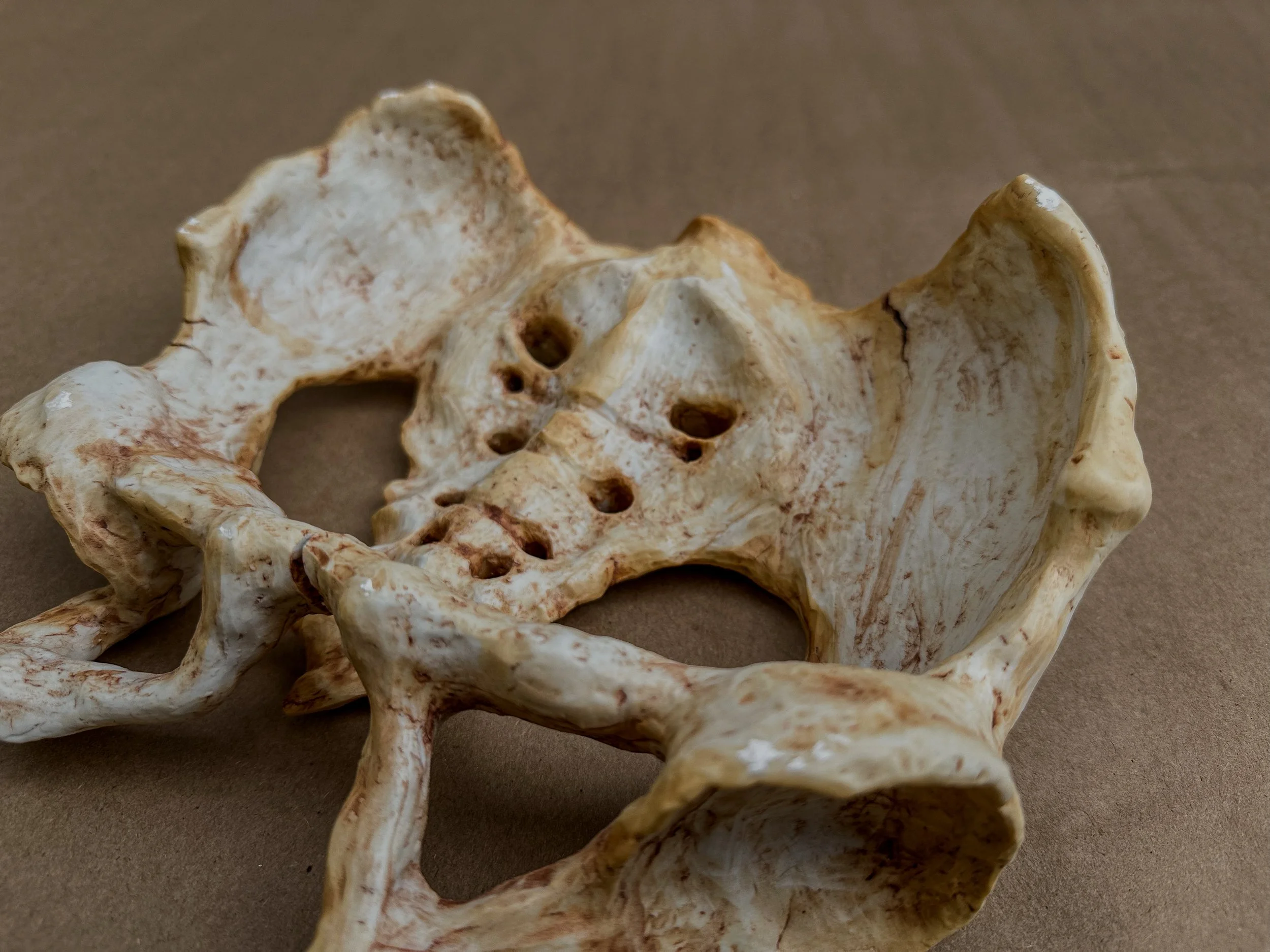 "My Os Coxae", 2025, Porcelain, 9 x 9 x 4 in