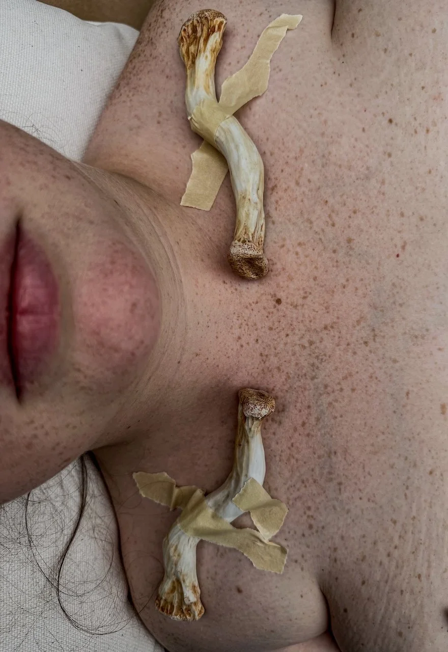 "My Clavicles", 2025, Porcelain, Dimensions Variable