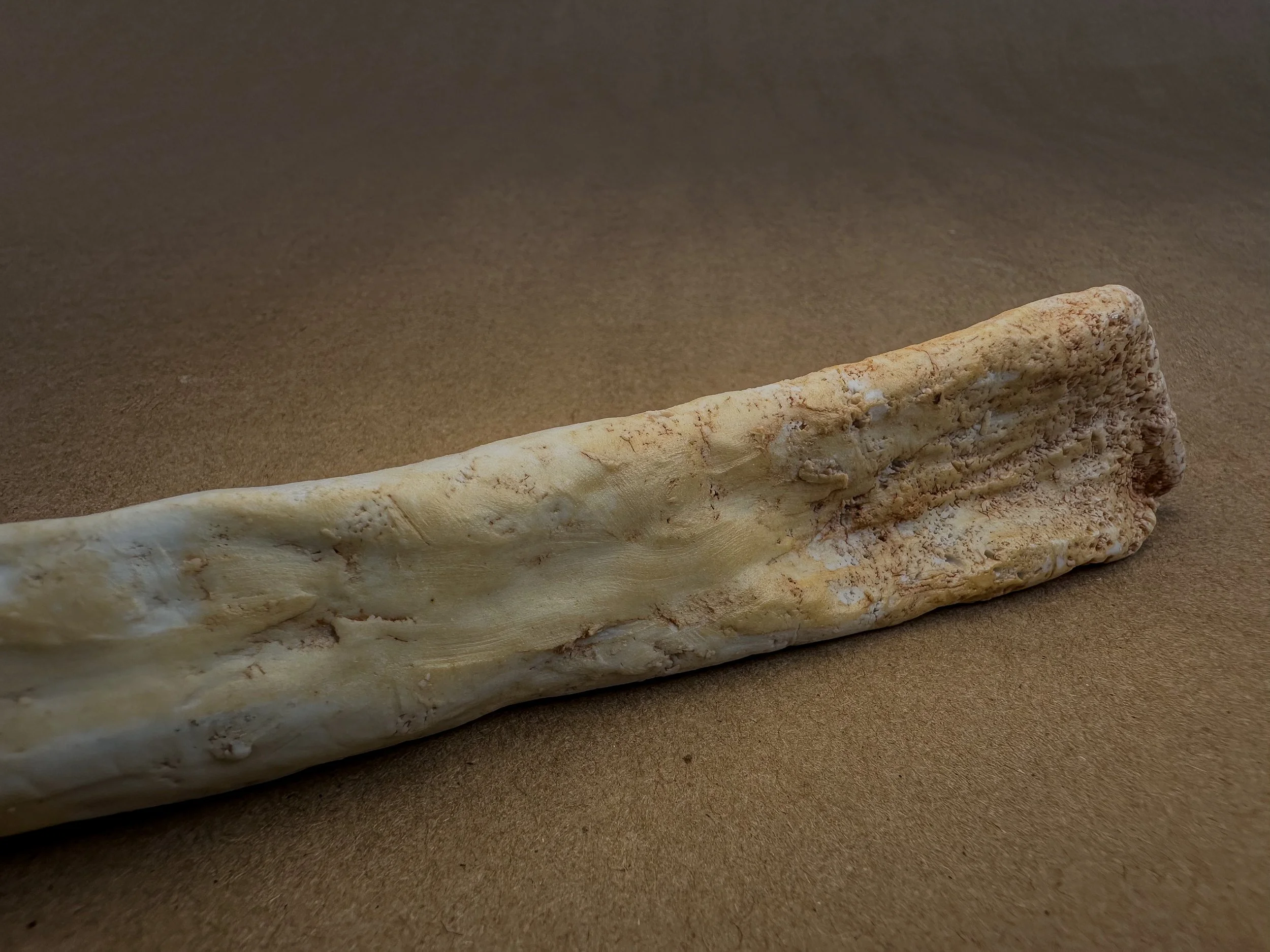 "My Radius", 2025, Porcelain, 9.5 x .75 x 1 in.