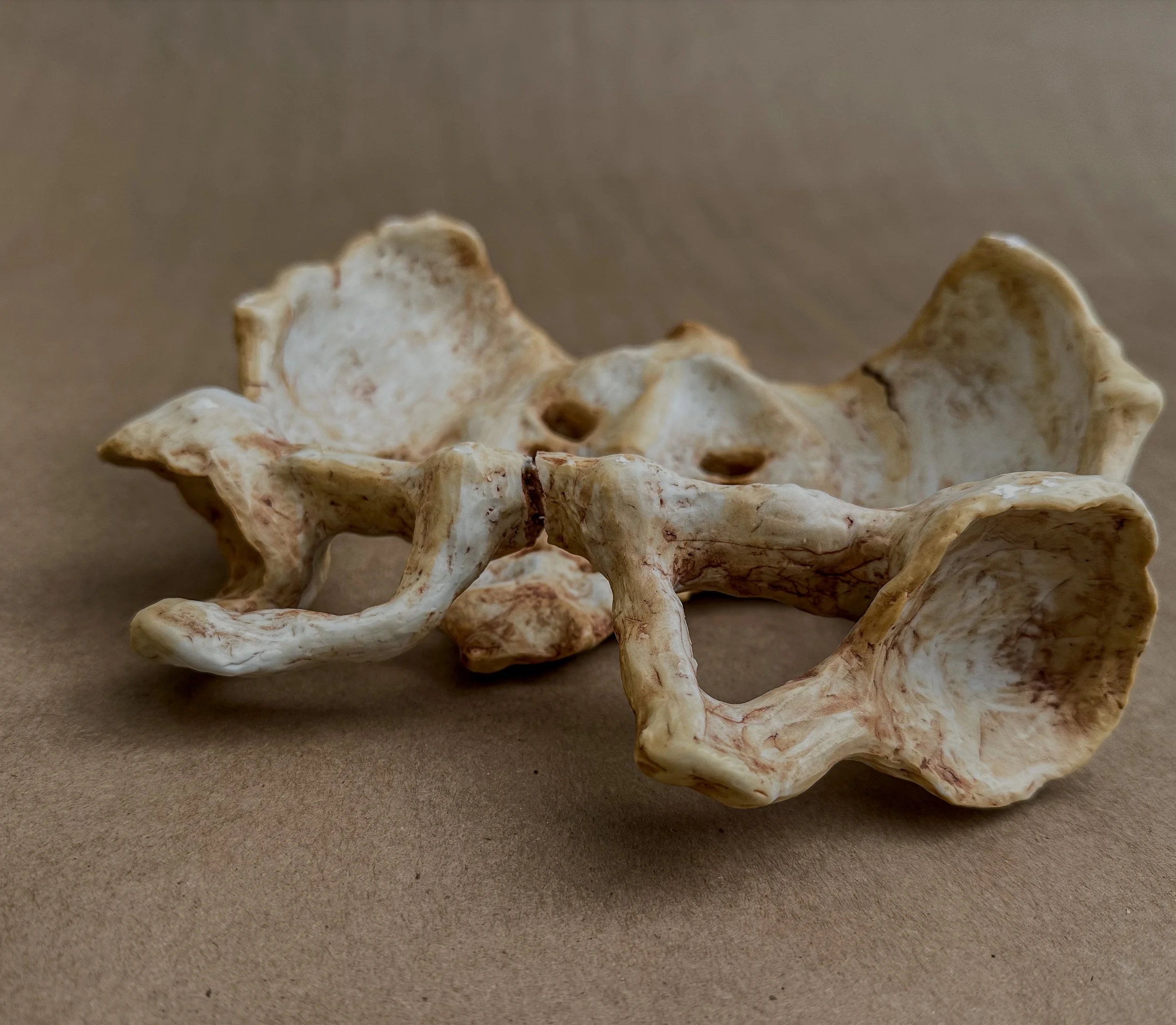 "My Os Coxae", 2025, Porcelain, 9 x 9 x 4 in