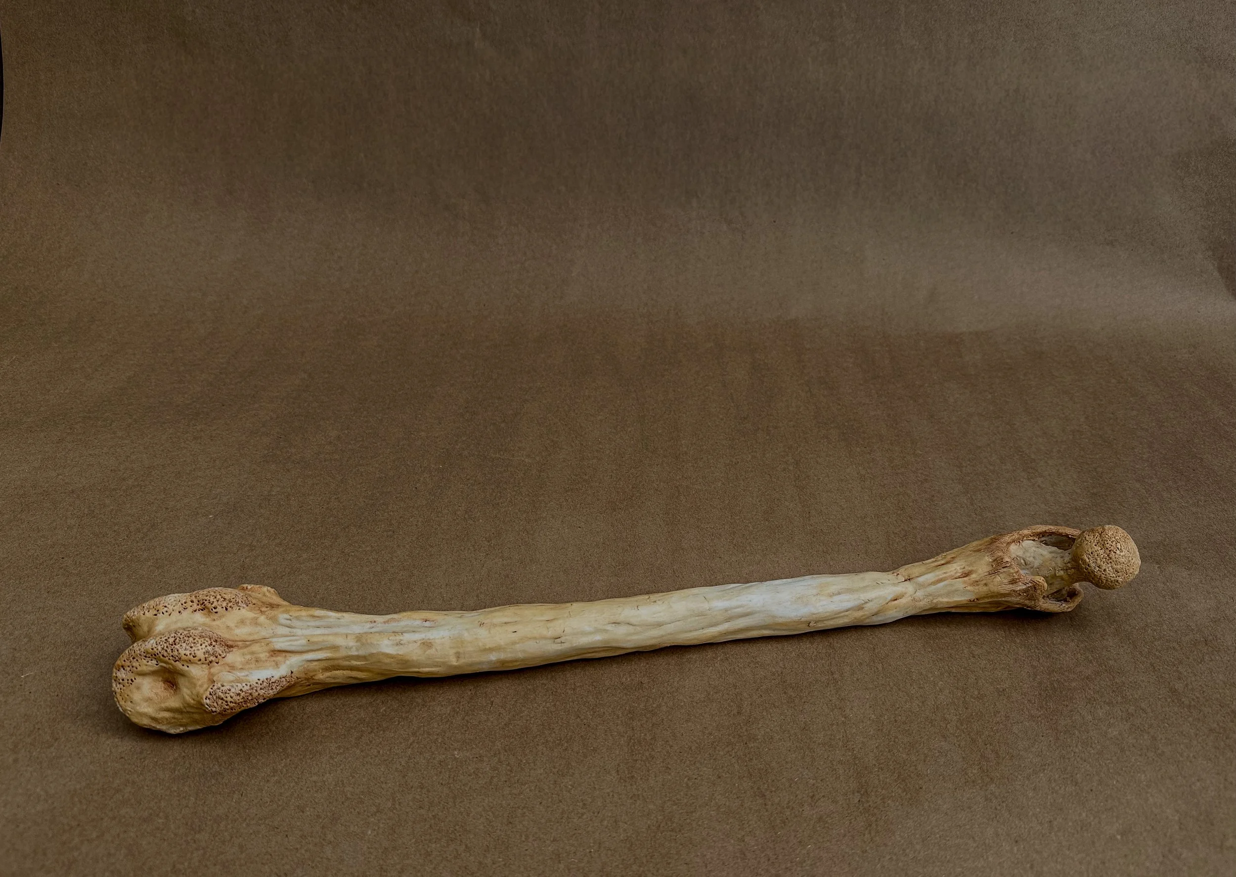 "My Femur", 2025, Porcelain, 18.5 x 1.5 x 1.1 in.