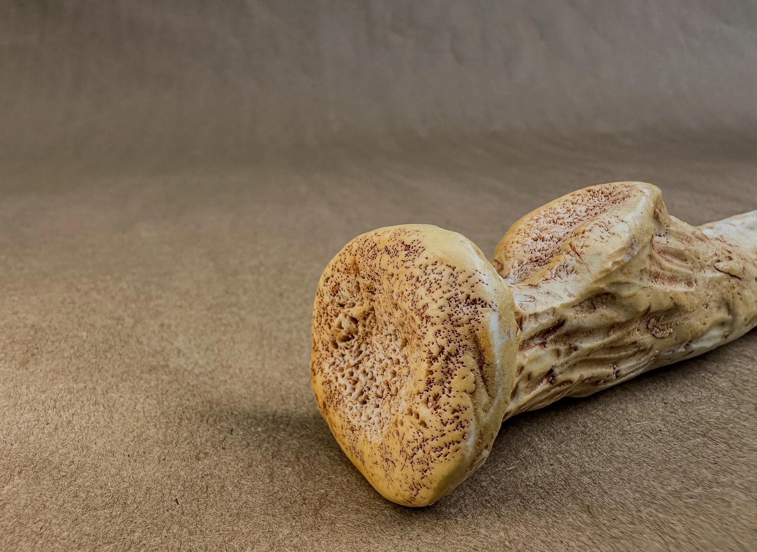 "My Radius", 2025, Porcelain, 9.5 x .75 x 1 in.