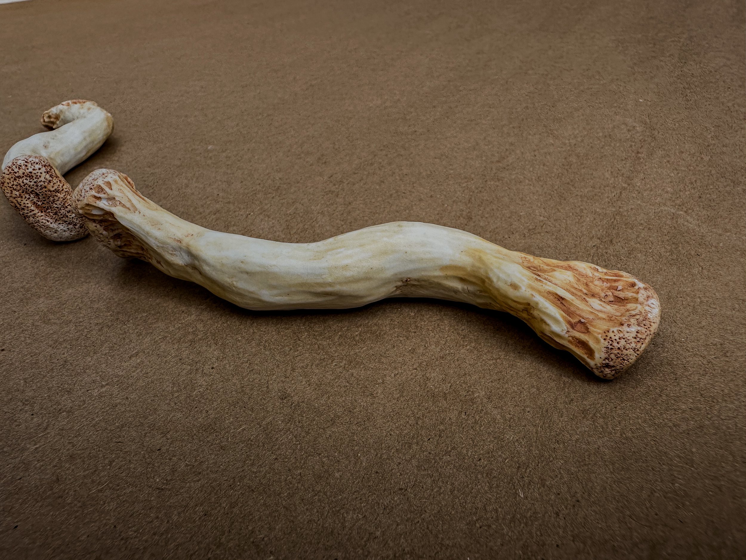 "My Clavicles", 2025, Porcelain, 5.75 x .5 x .75 in. ea.