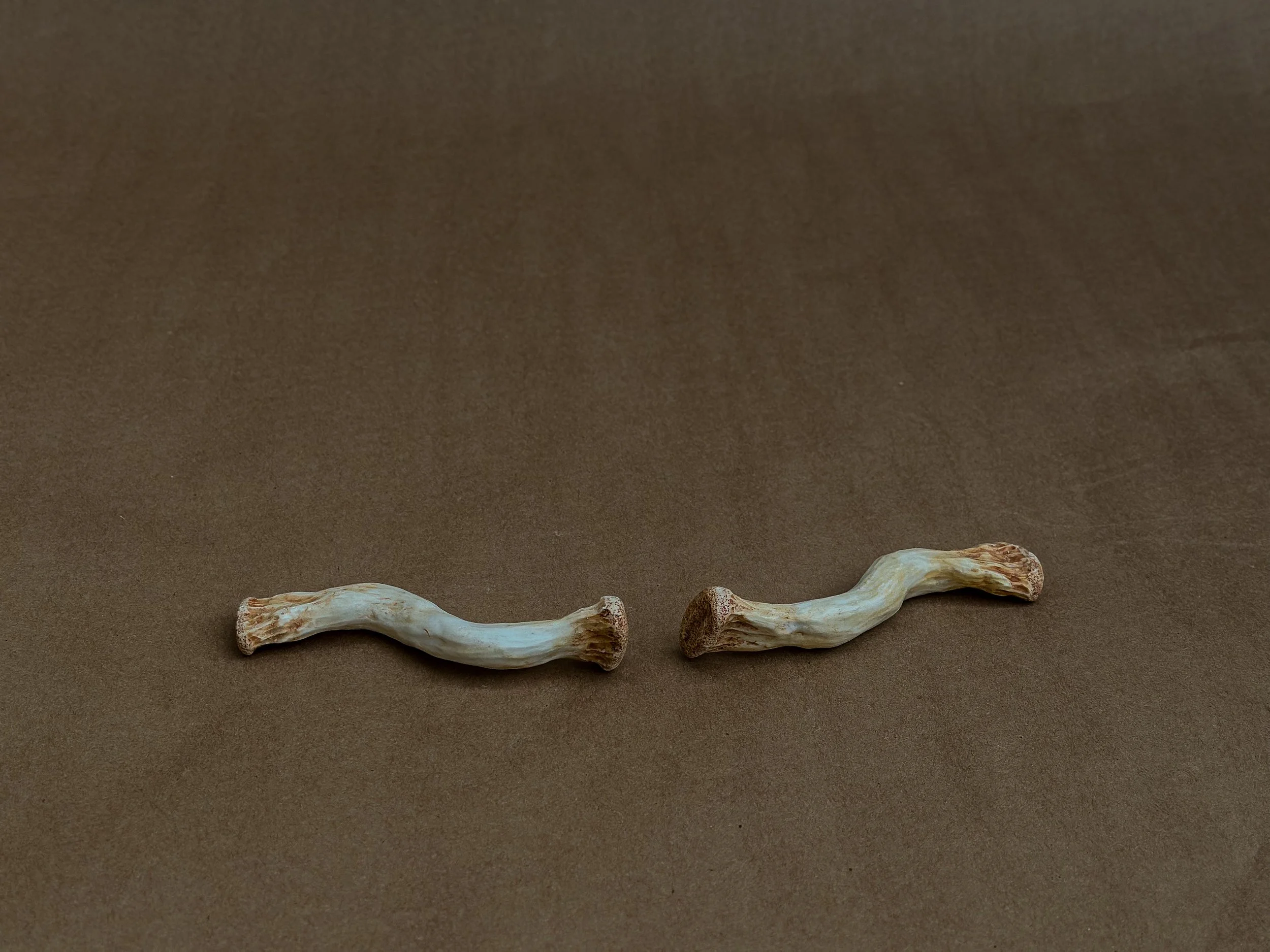 "My Clavicles", 2025, Porcelain, 5.75 x .5 x .75 in. ea.