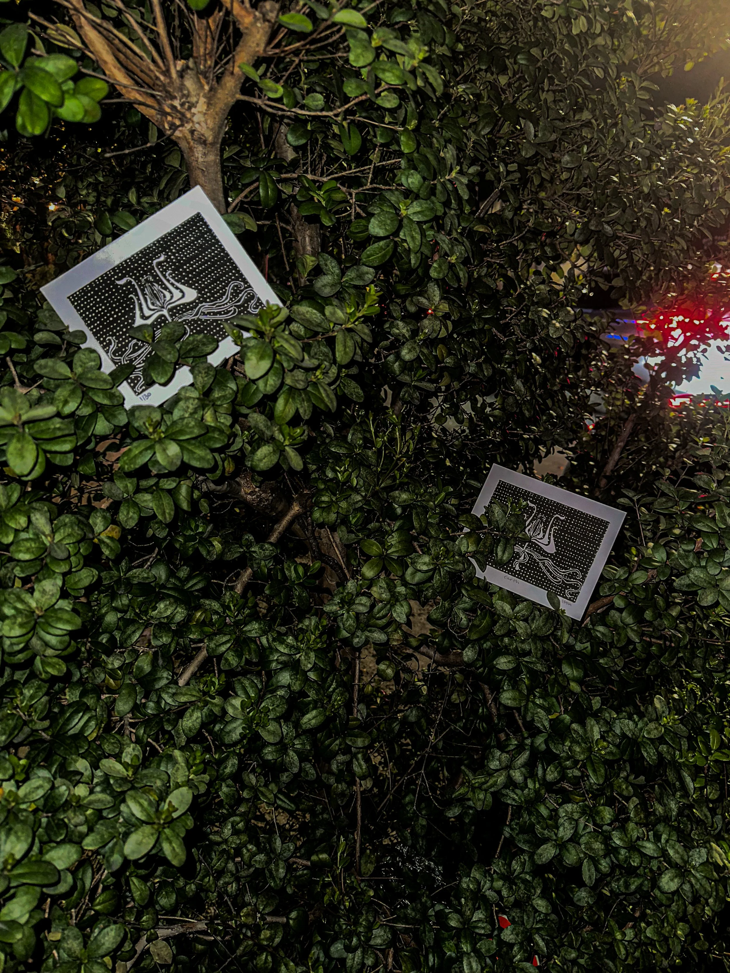 "Earth", 2025, Woodblock Relief, 6 x 4 in ea.