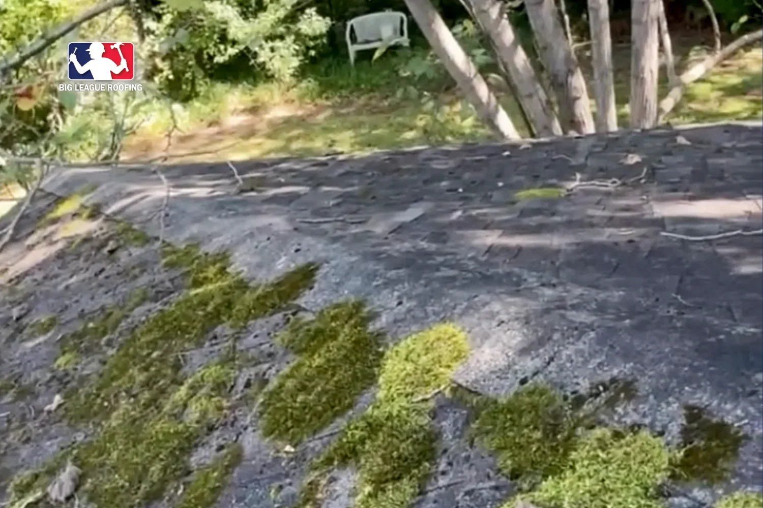 Tree Overhang and Moss on Your Roof: What Northeast Georgia Homeowners Need to Know