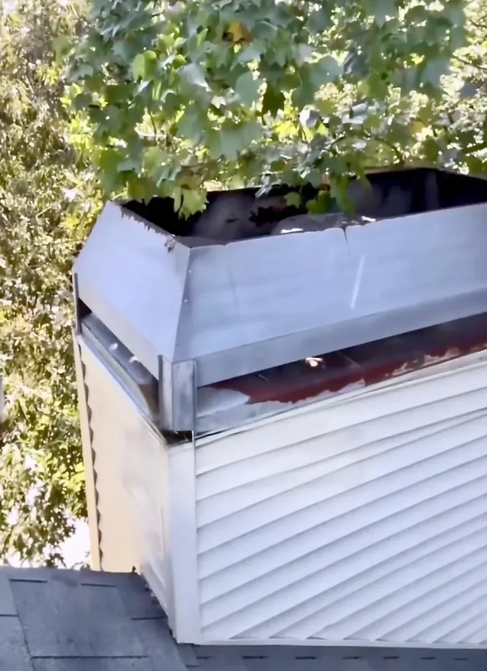 Wind damage shown on damaged siding on a roof inspection by Big League Roofing