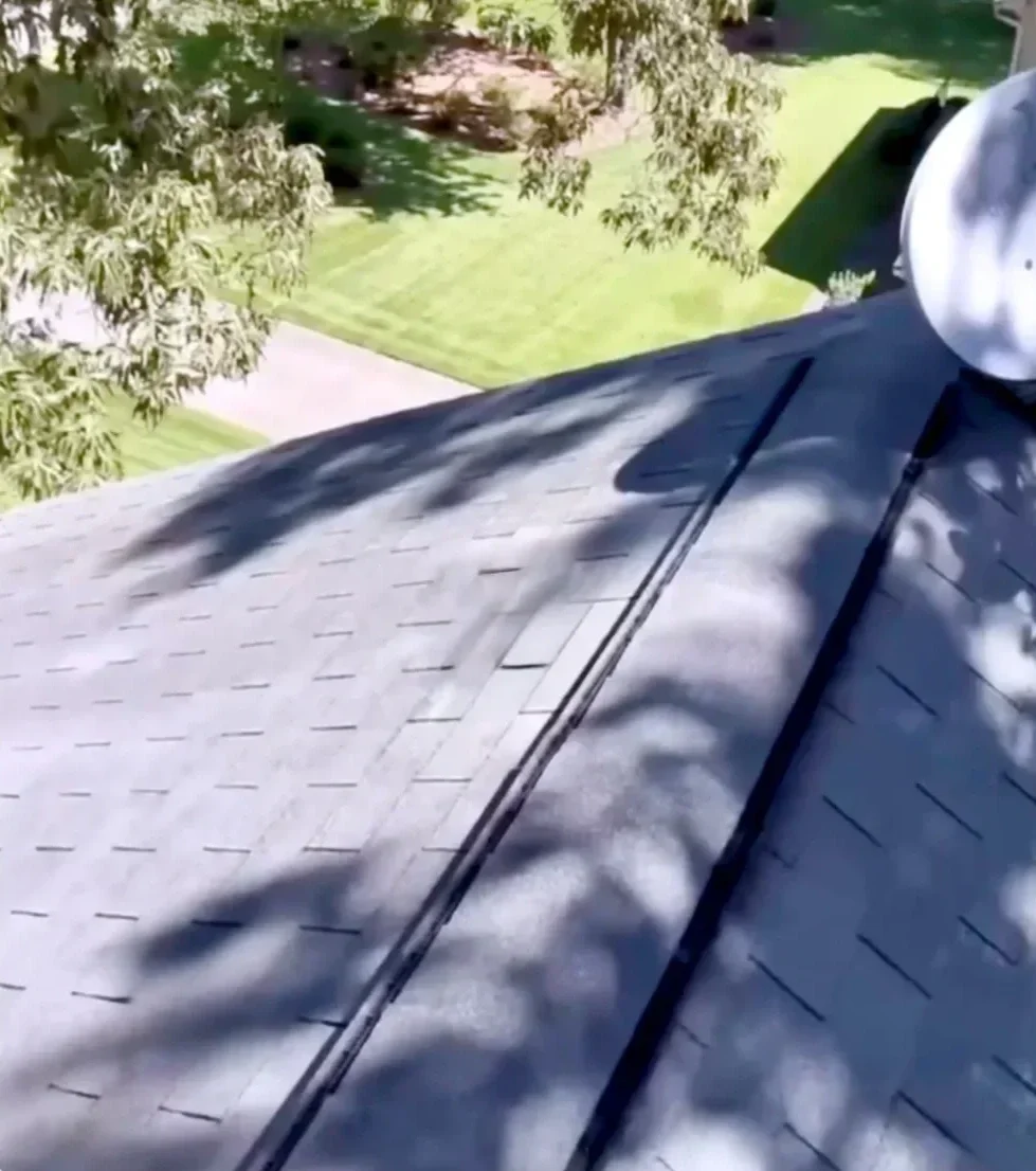 View from a rooftop showing the roof shingles and trees during a roof inspection by Big League Roofing
