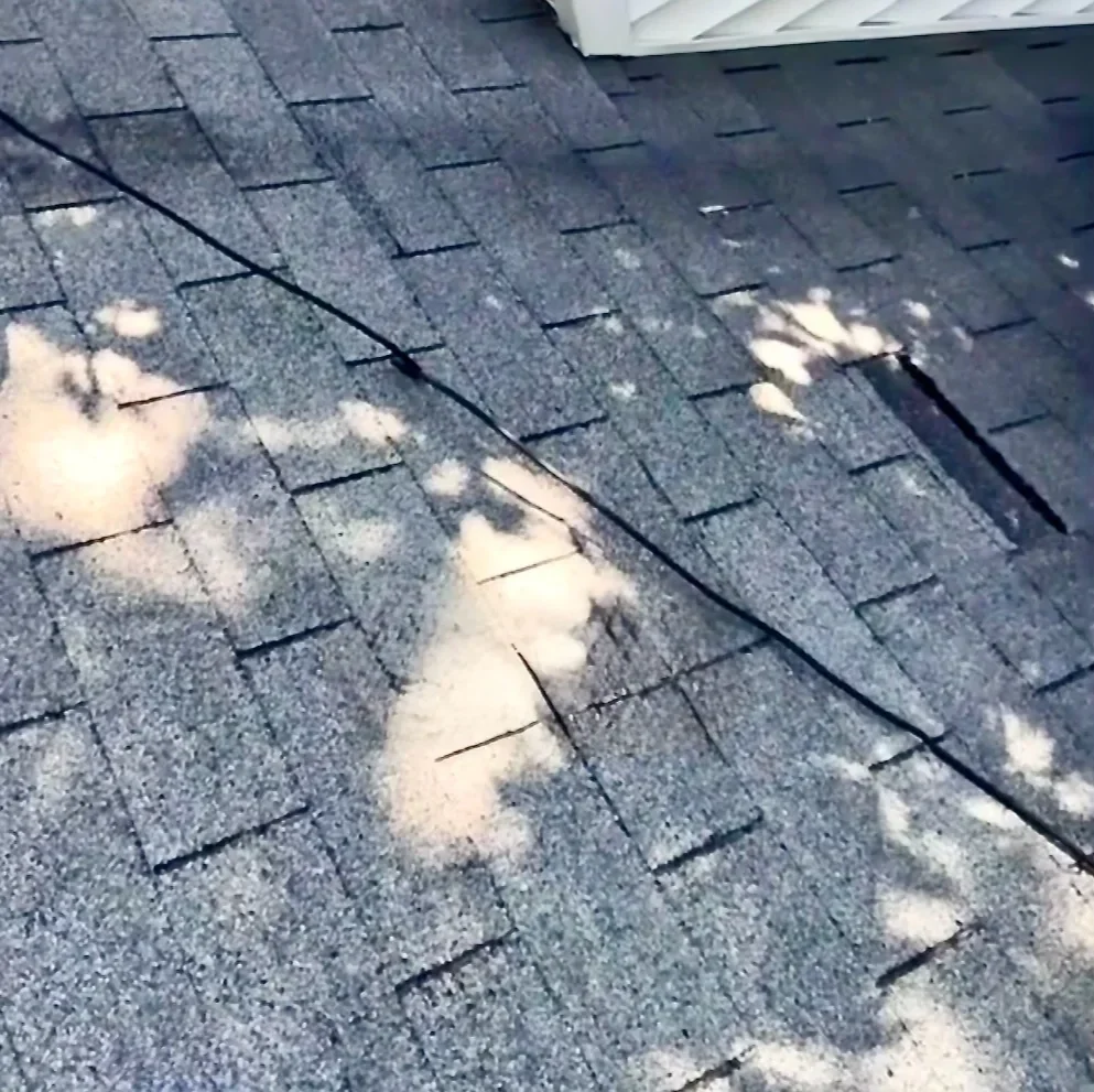 Wind damage/missing shingle shown on an asphalt shingle roof inspection by Big League Roofing