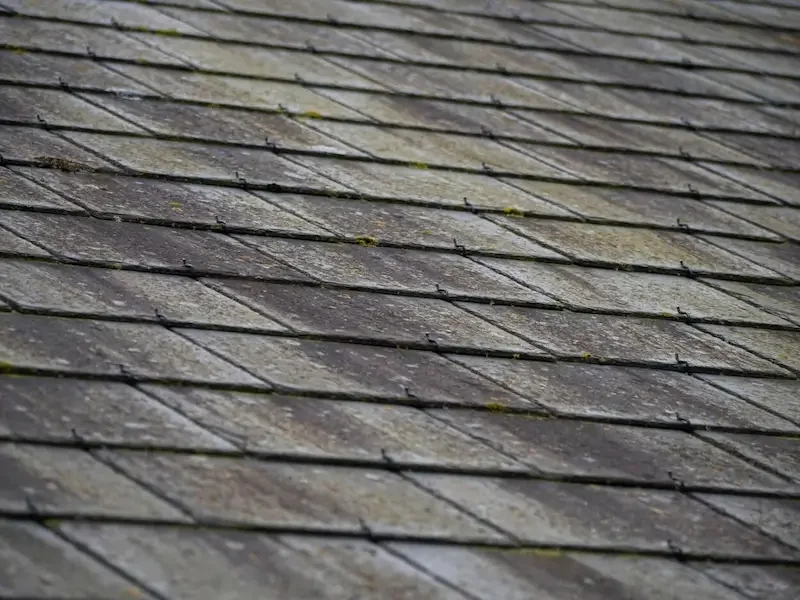 North Georgia roof with moss and algae damage in need of professional roof replacement or repair