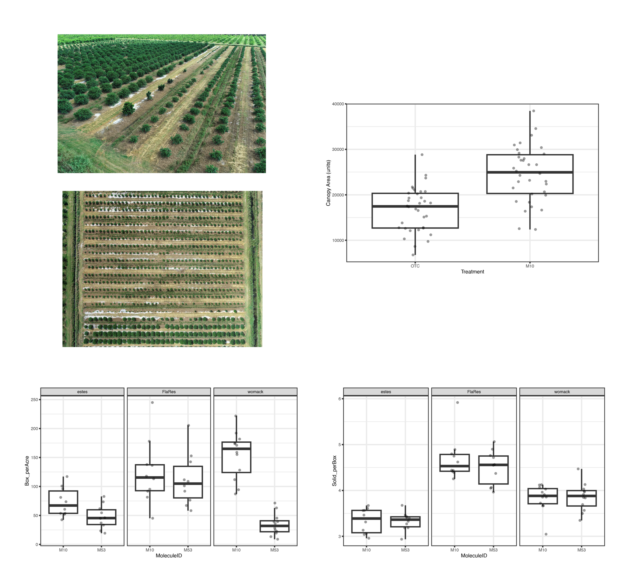 BEFORE: Two photos and three box-and-whisker plots are meant to 1) show where two different crop treatments were applied in the field and 2) compare the crop outcomes between those two treatments. However, a lack of cohesion and clear labeling makes 