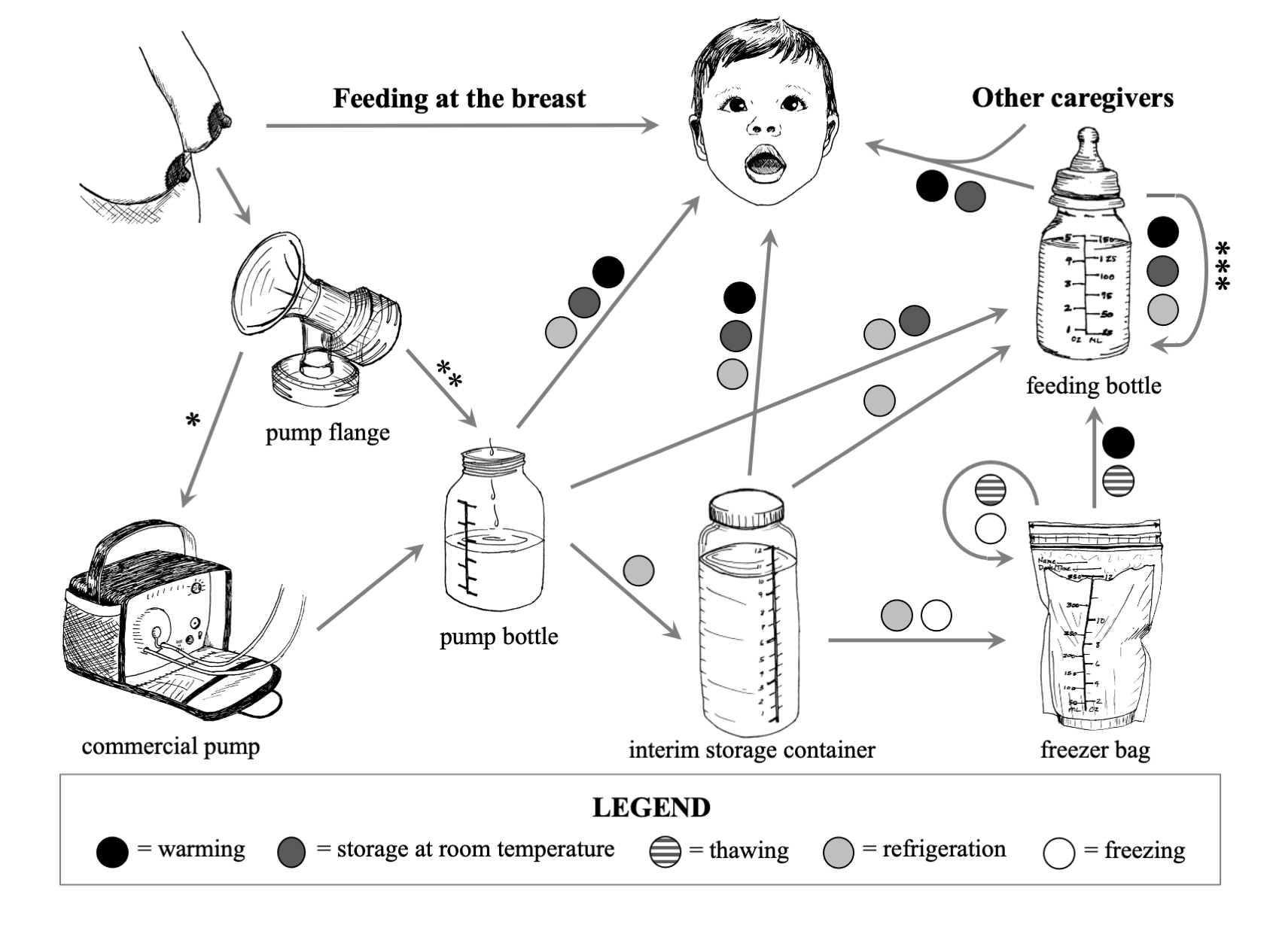 BEFORE: This figure, published with my original qualitative research, features my own pen-and-ink line drawings. It illustrates the many practices that my study participants described for pumping, storing, preparing, and providing breast milk to thei