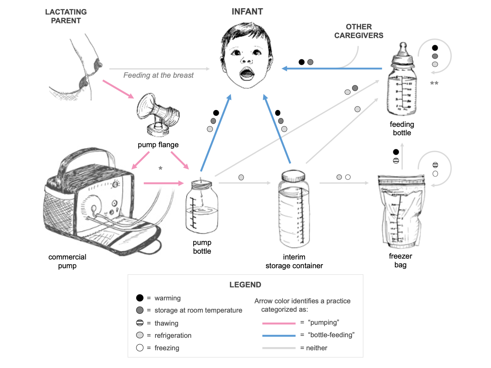 This updated figure, originally published with my qualitative research, features my own pen-and-ink line drawings. It illustrates the many practices that study participants described for pumping, storing, preparing, and providing breast milk to their