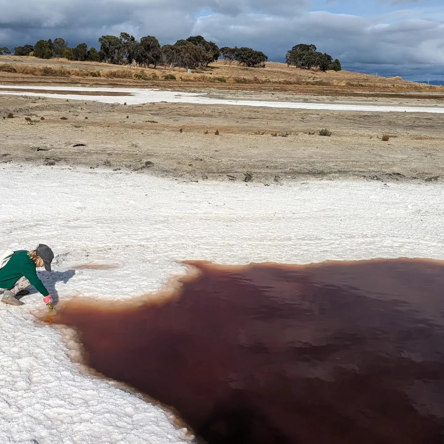 Foraging for pigment, finding color everywhere

#sfbaylands #earthpigments #naturalpigments