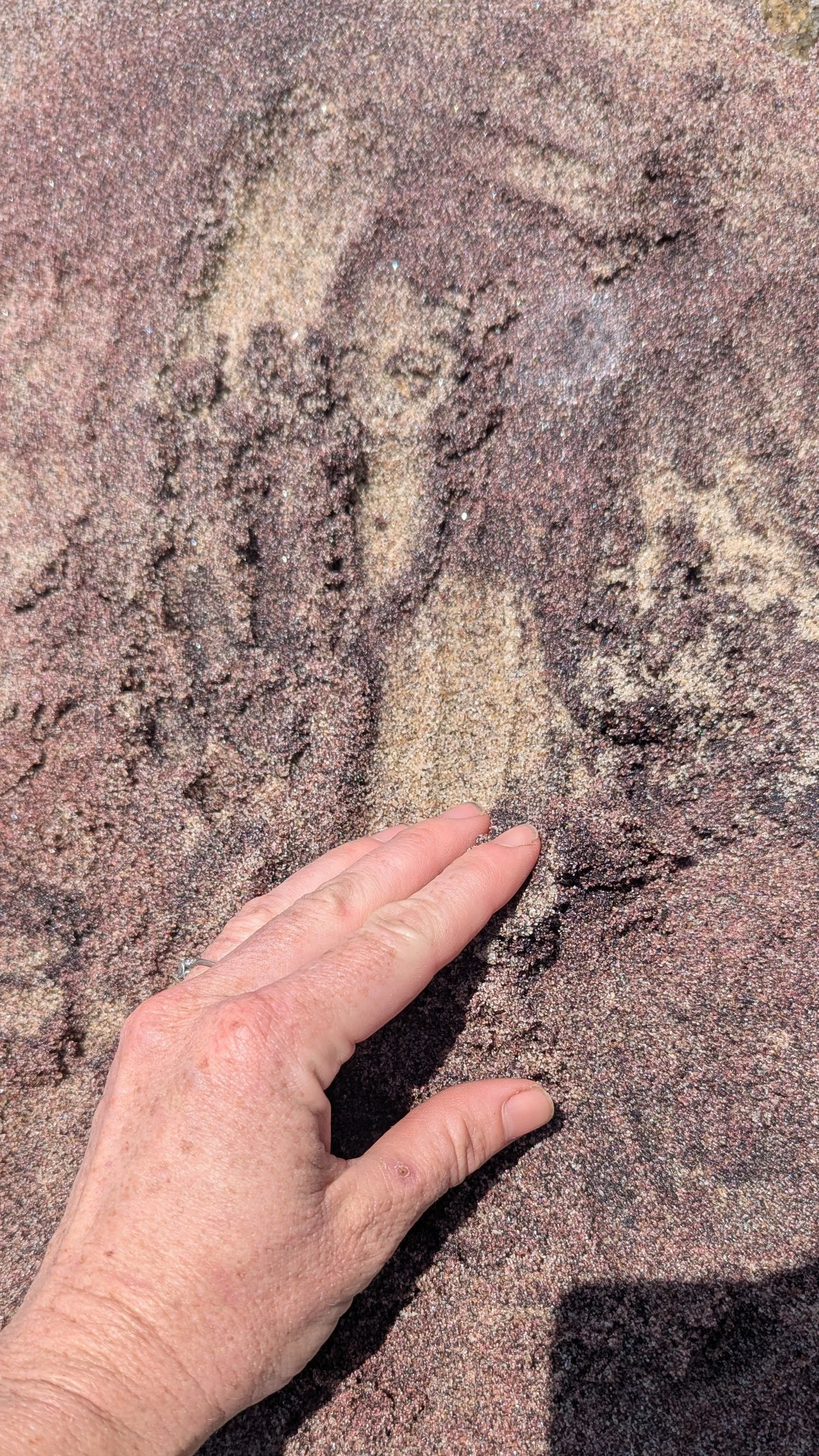 A hand with fingers touching the sand on the ground, with a pattern or shape drawn in the sand.