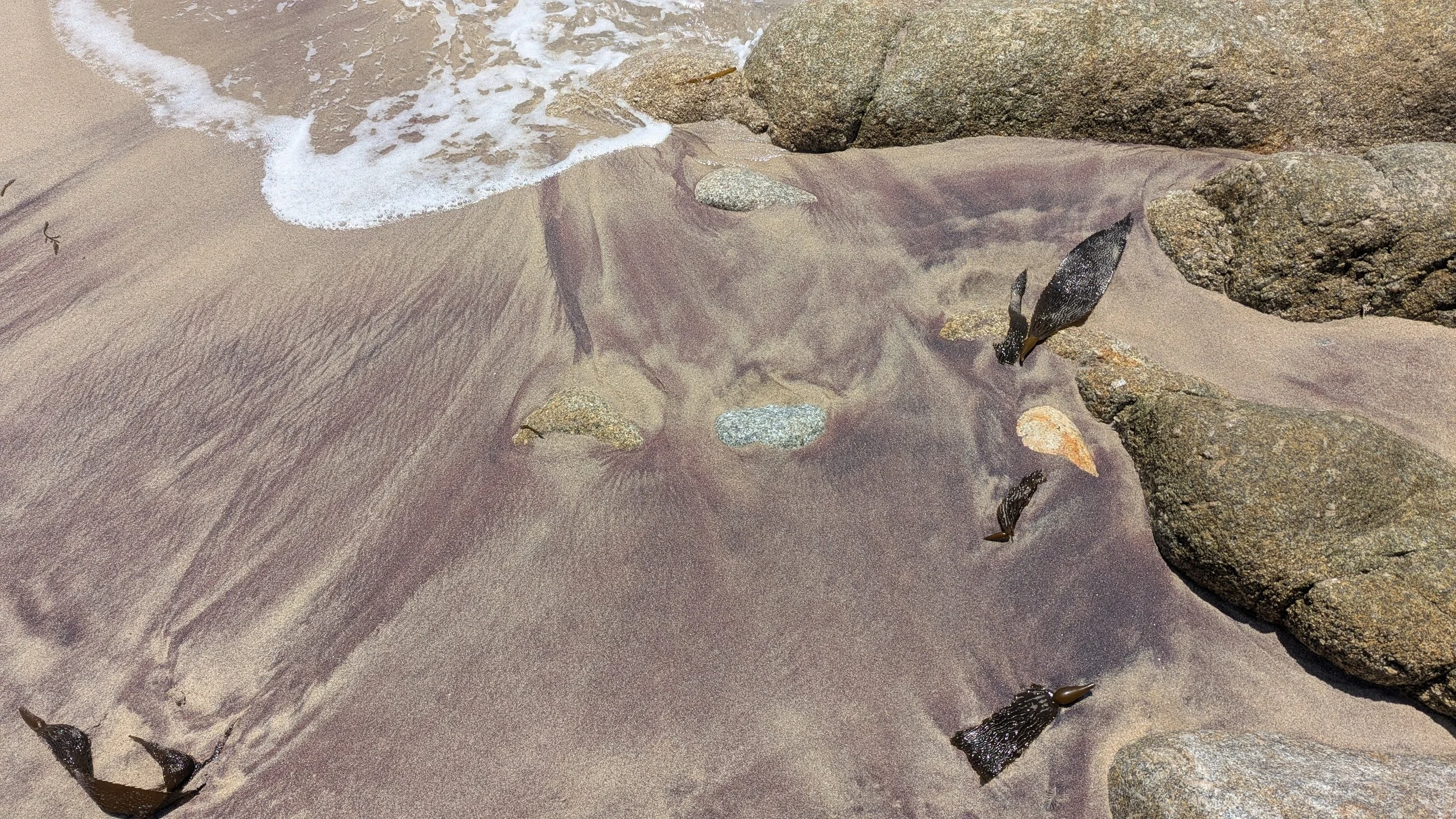 Seaweed and rocks on a sandy beach with tide washing over the sand and into a small tide pool.