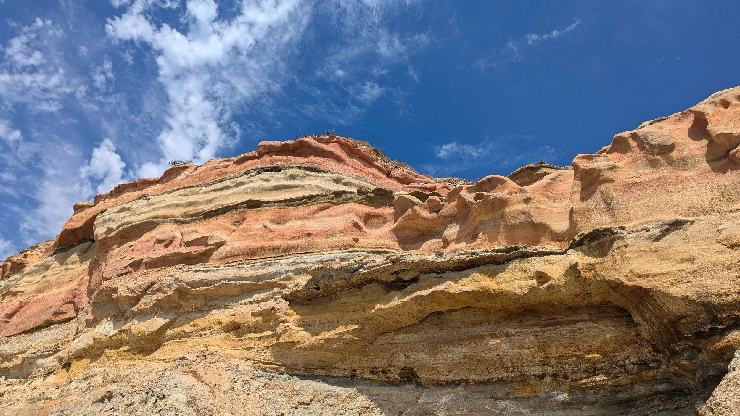 Colorful layered rock formation at Torrey Pines State Reserve in Del Mar, CA. 