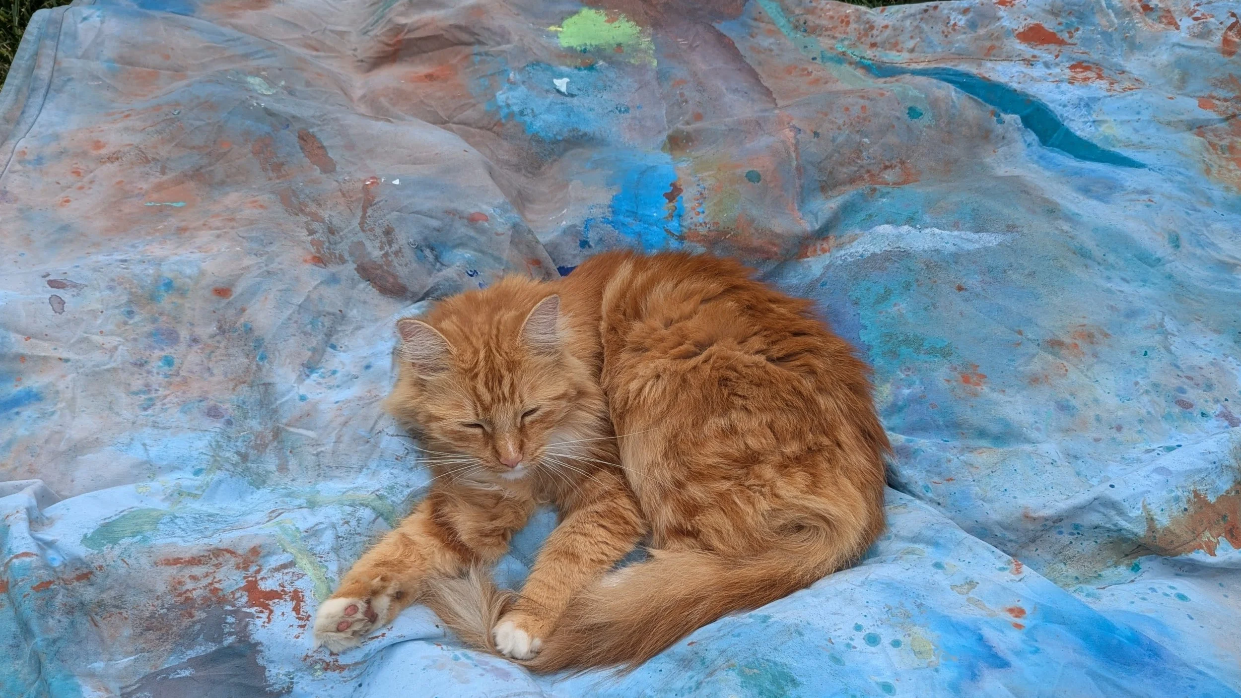 An orange tabby cat lying on a colorful, splattered paint cloth, with its eyes closed and a relaxed posture.