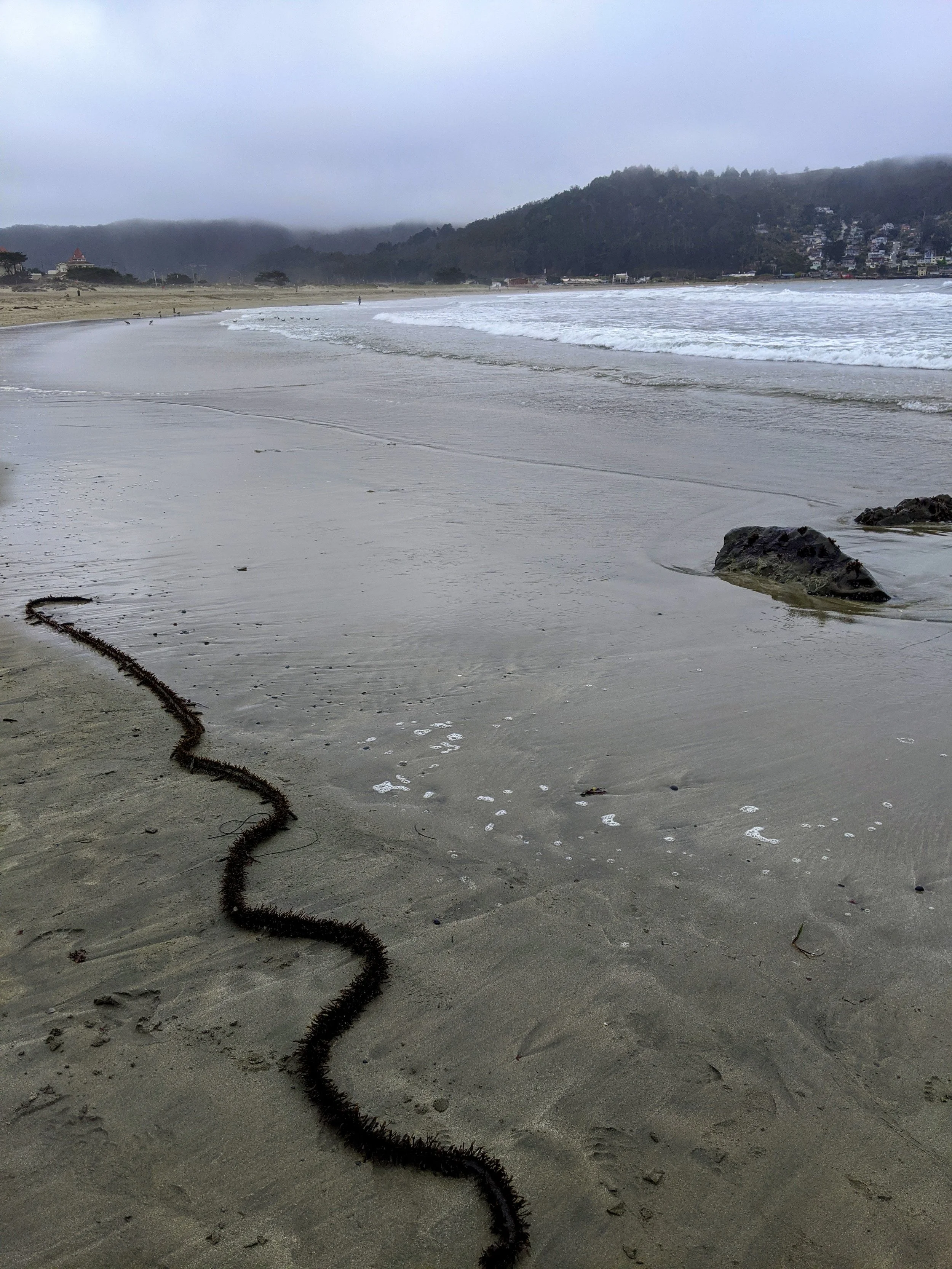 Overcast beach scene with waves, rocks, and distant hills, showing a long seaweed line on wet sand.