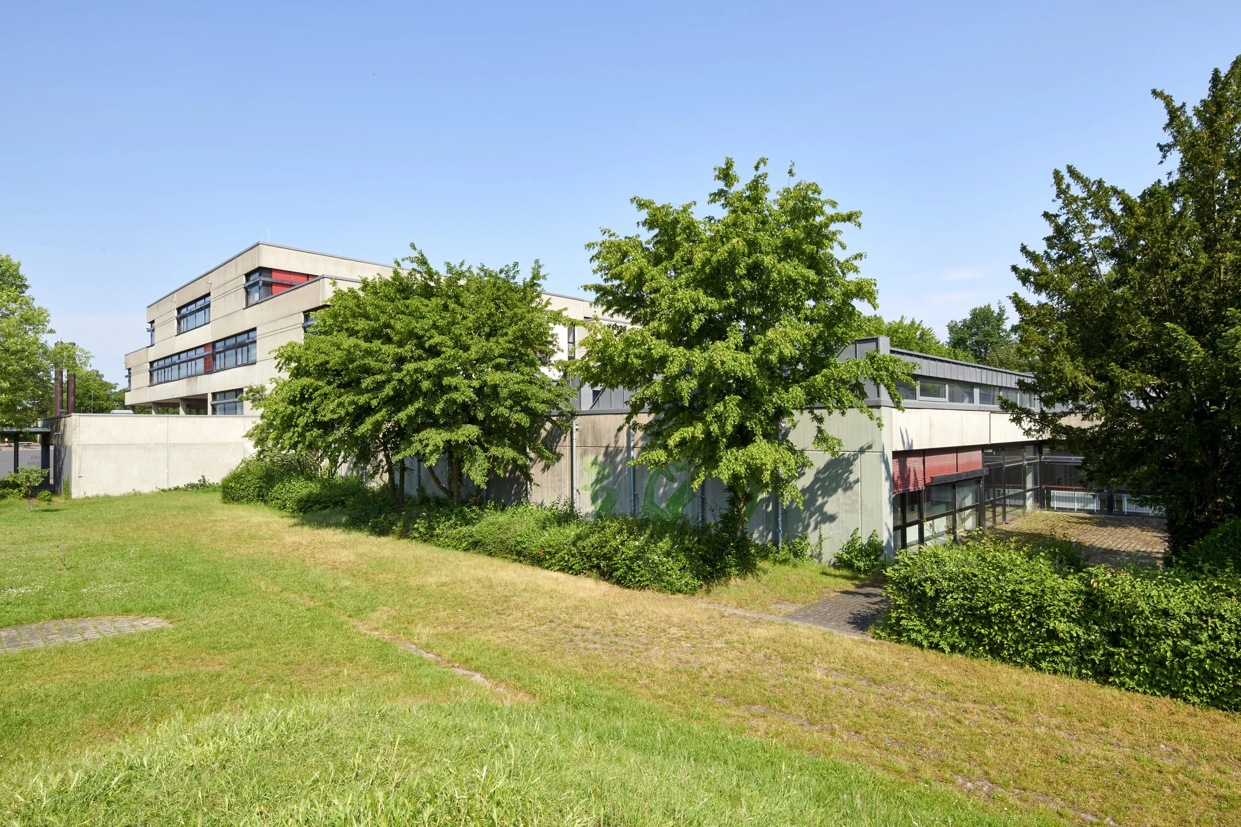 185AV20230607D7636 .jpg