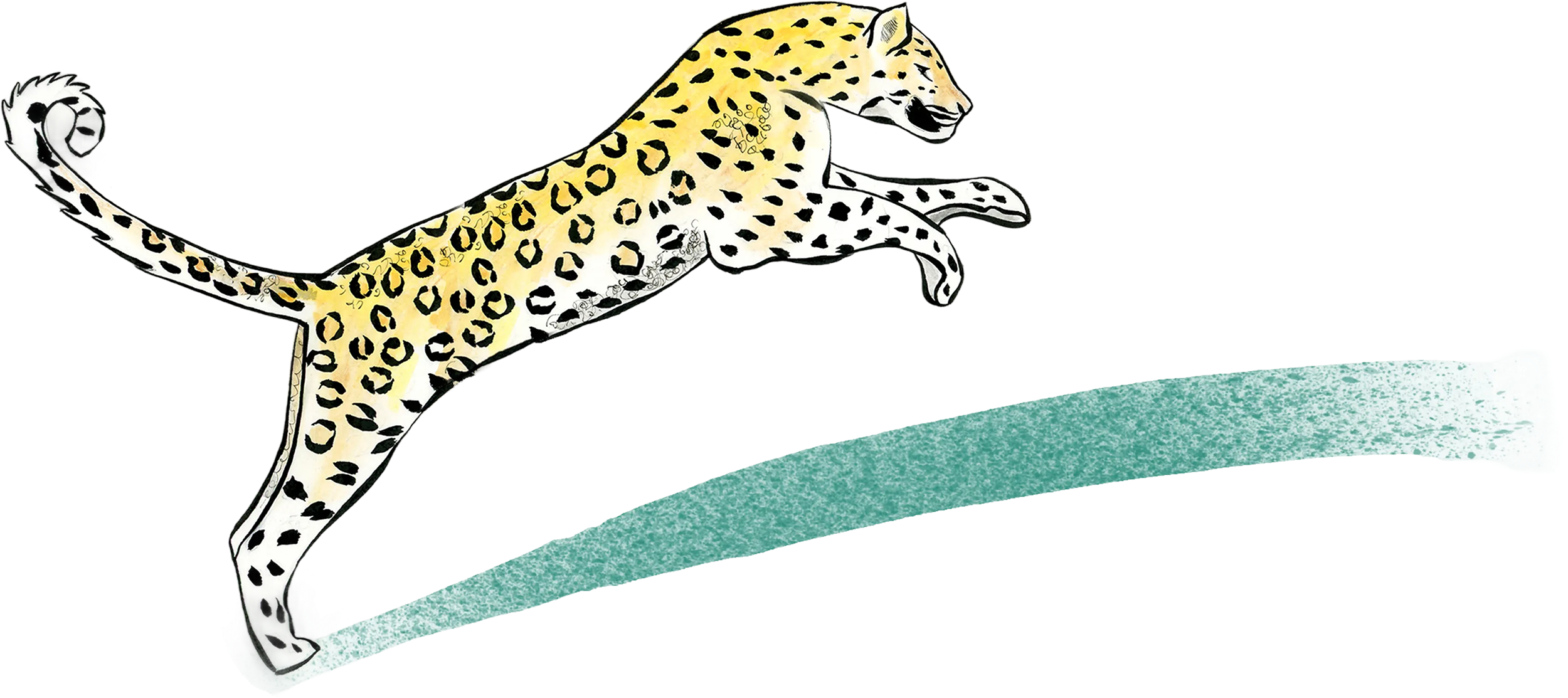 Illustration of a jumping cheetah with black spots on yellow fur, leaping over a curved green line.