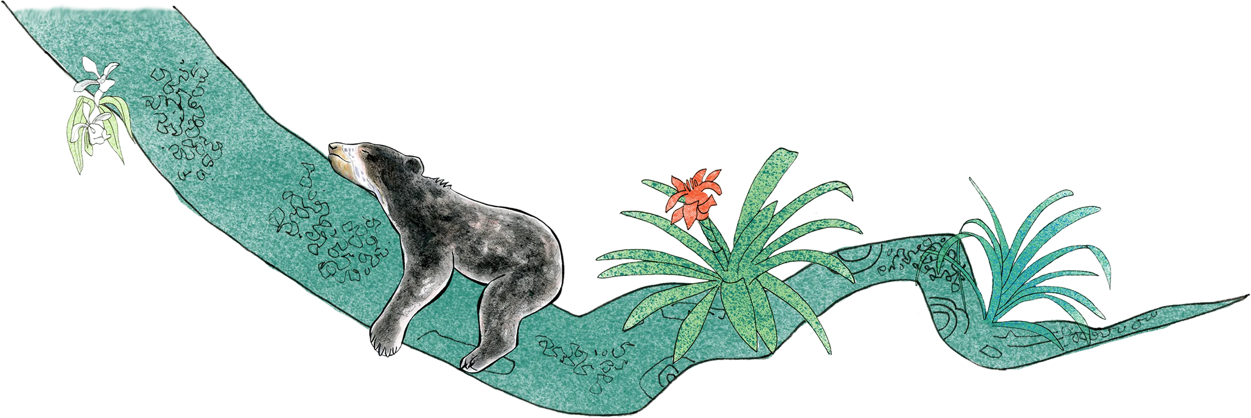 Illustration of a bear walking on a green jungle trail surrounded by tropical plants, with colorful flowers and leaves.