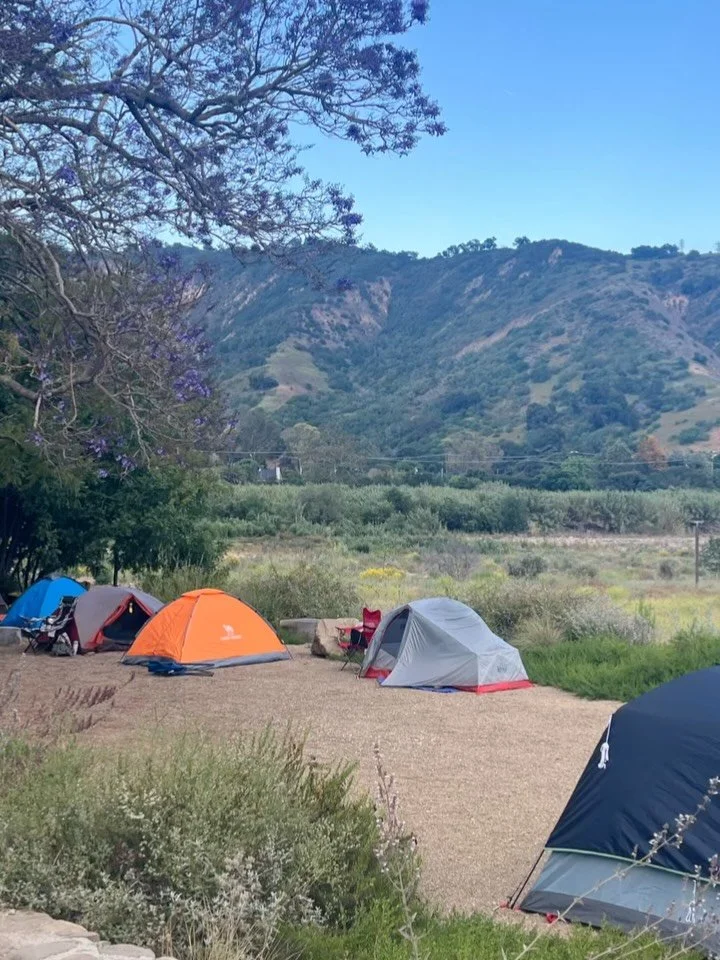 Calling all birders!!!📢🪶🪺🏕️☀️: Registration is still open for our Riparian Bird Workshop in collaboration with the Southern California Chapter. Species experts will cover riparian bird survey methodology and the life history + identification of s