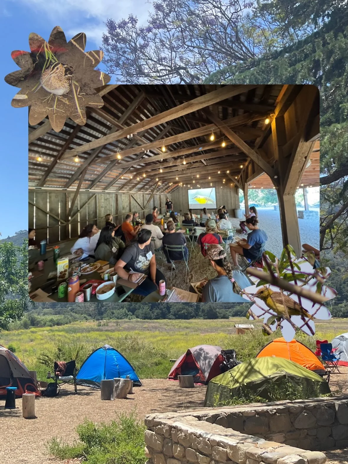 Interested in registering for the 2026 Riparian Bird Workshop? You&rsquo;re in luck! 🍀🏕️🪶🐦&zwj;⬛🪺We have opened up more early career professional and student discounted tickets! 

This workshop will focus on birding by ear and museum specimens. 