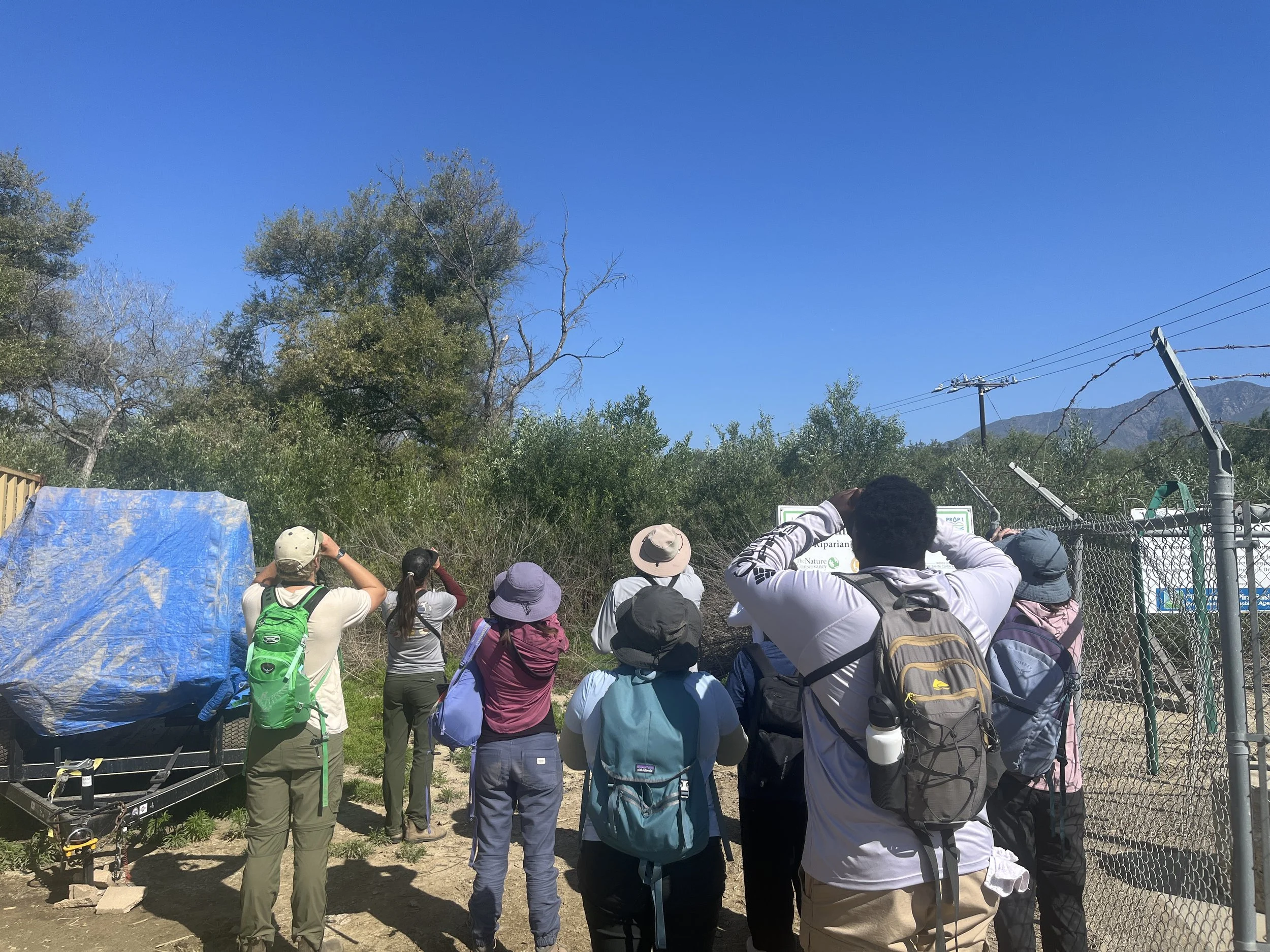 Riparian Bird Workshop / May 30-June 1, 2025