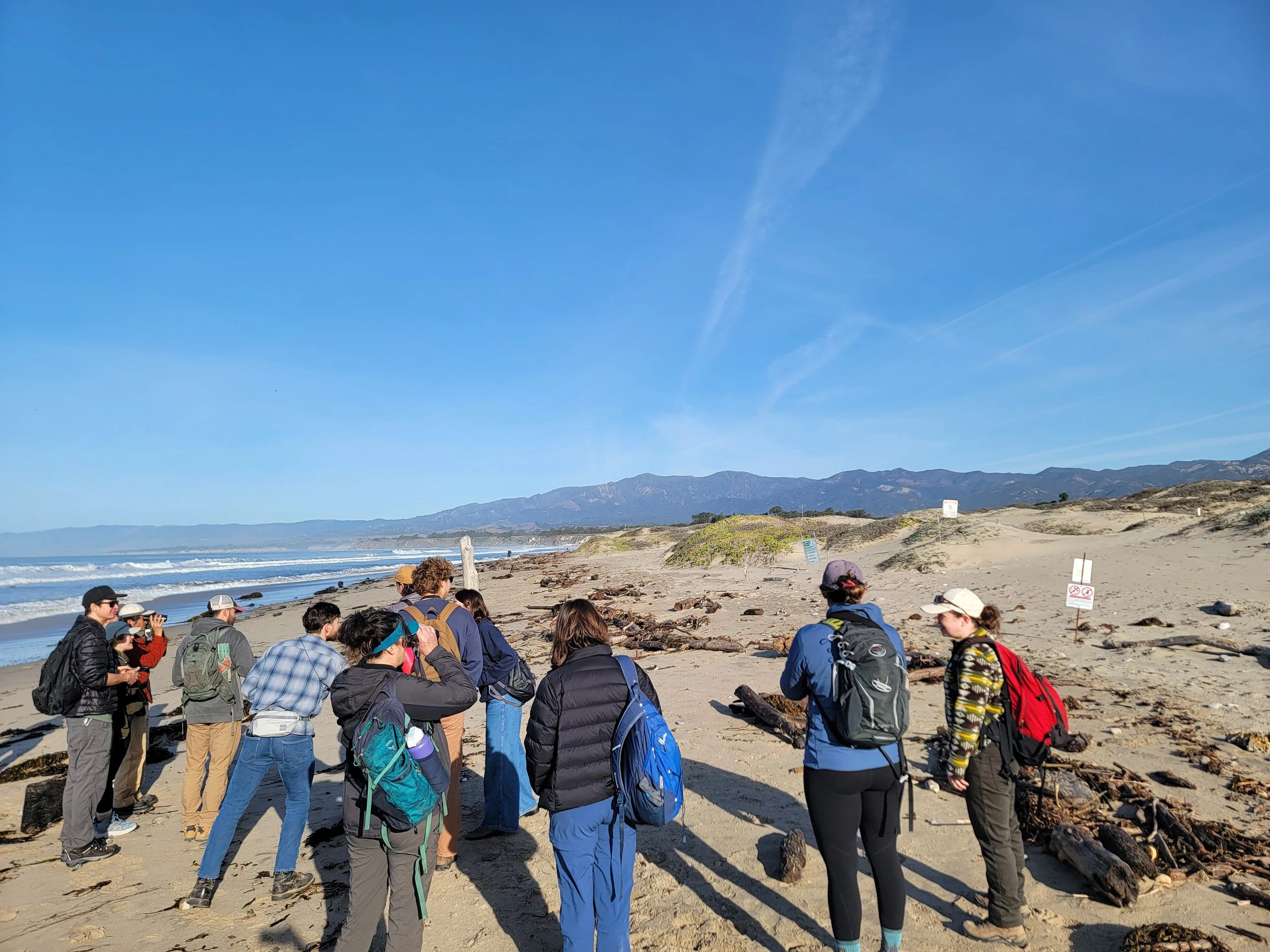 Birding at Coal Oil Point Reserve / February 15, 2025