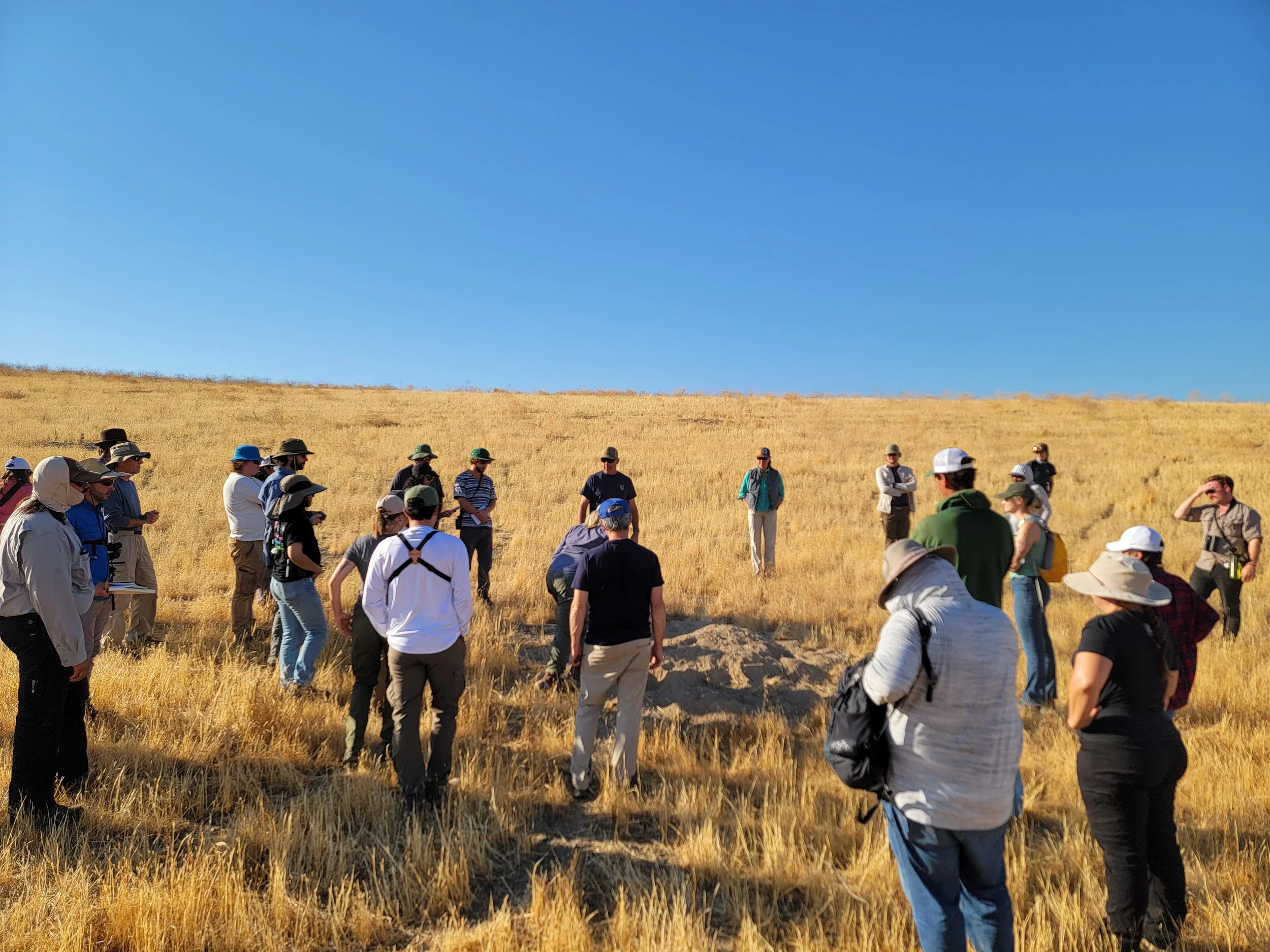 San Joaquin Kit Fox Workshop / October 7-10, 2025