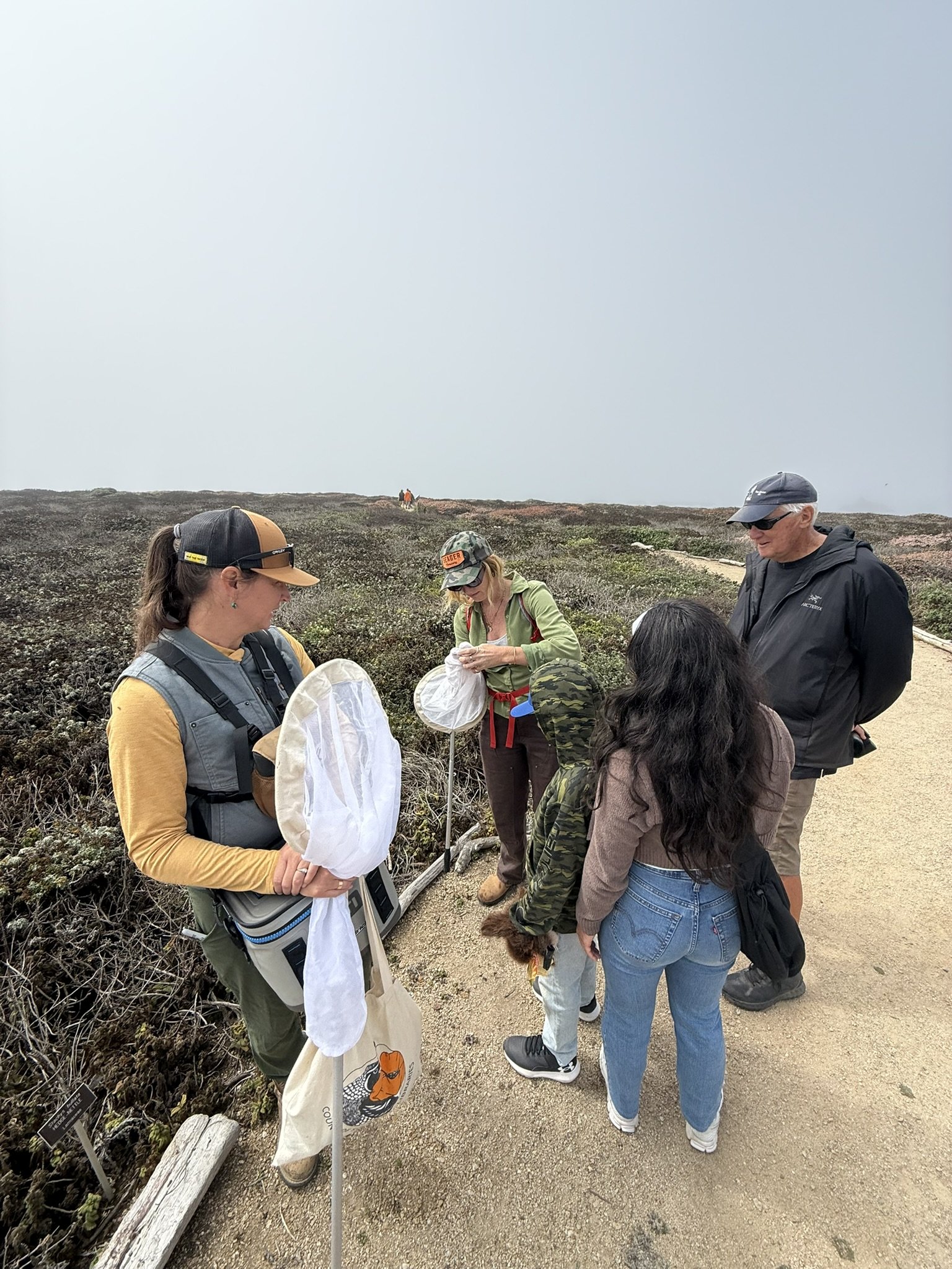 Bumble Bee Atlas Group Survey Piedras Blanca BLM / July 26, 2025