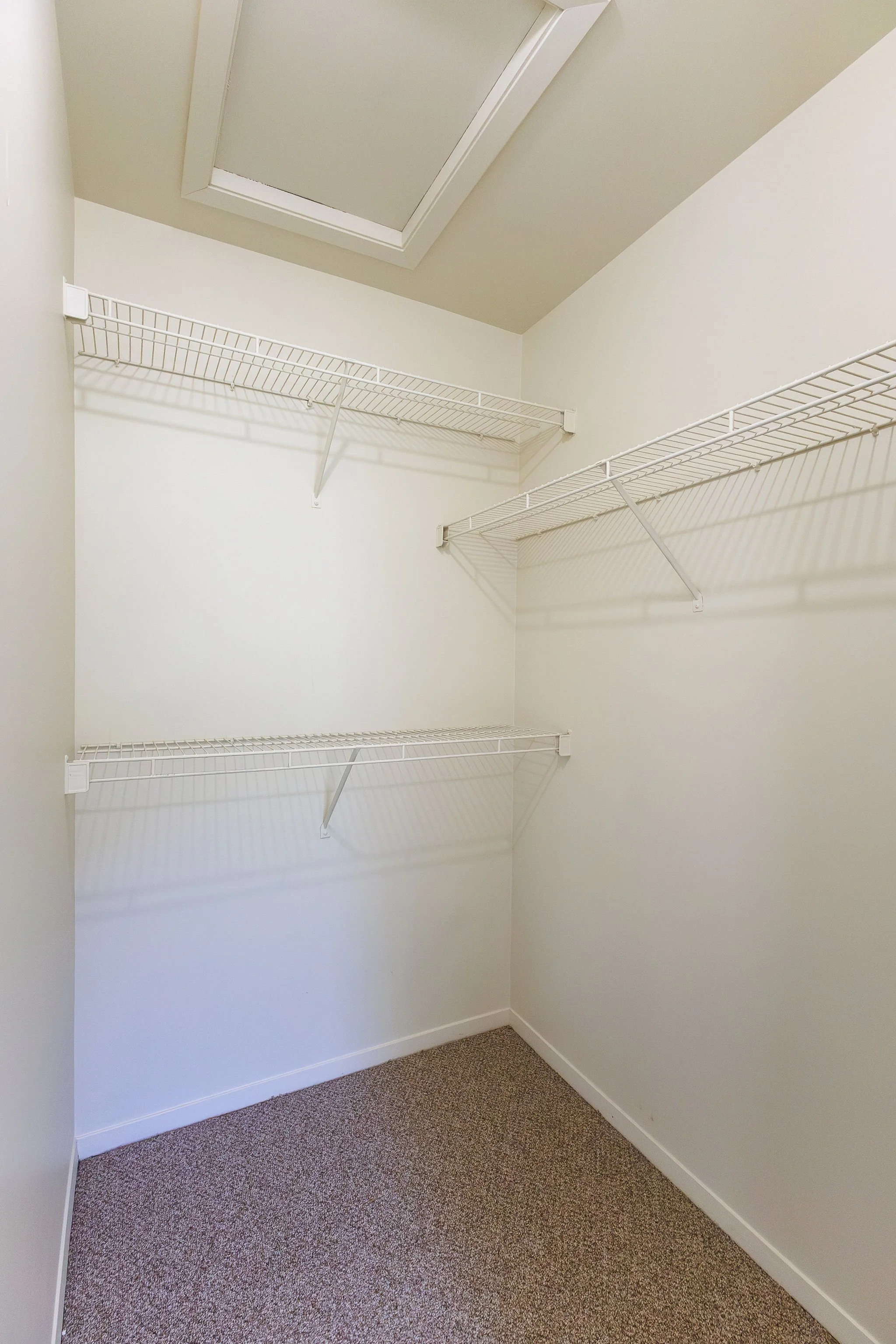 Empty walk-in closet with white wire shelves and beige carpet, skylight on ceiling.