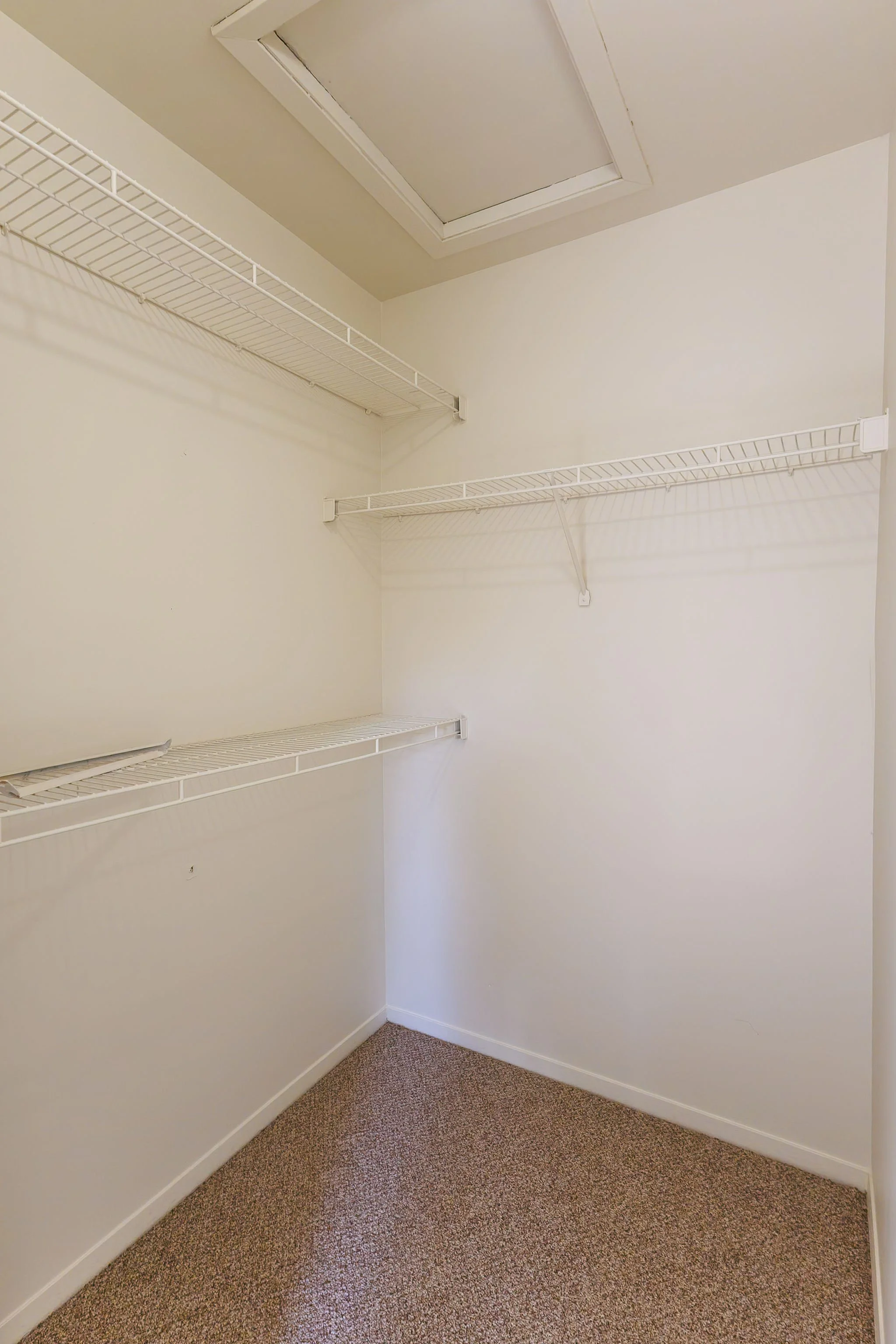Empty walk-in closet with white wire shelves on cream-colored walls and brown carpeted floor.