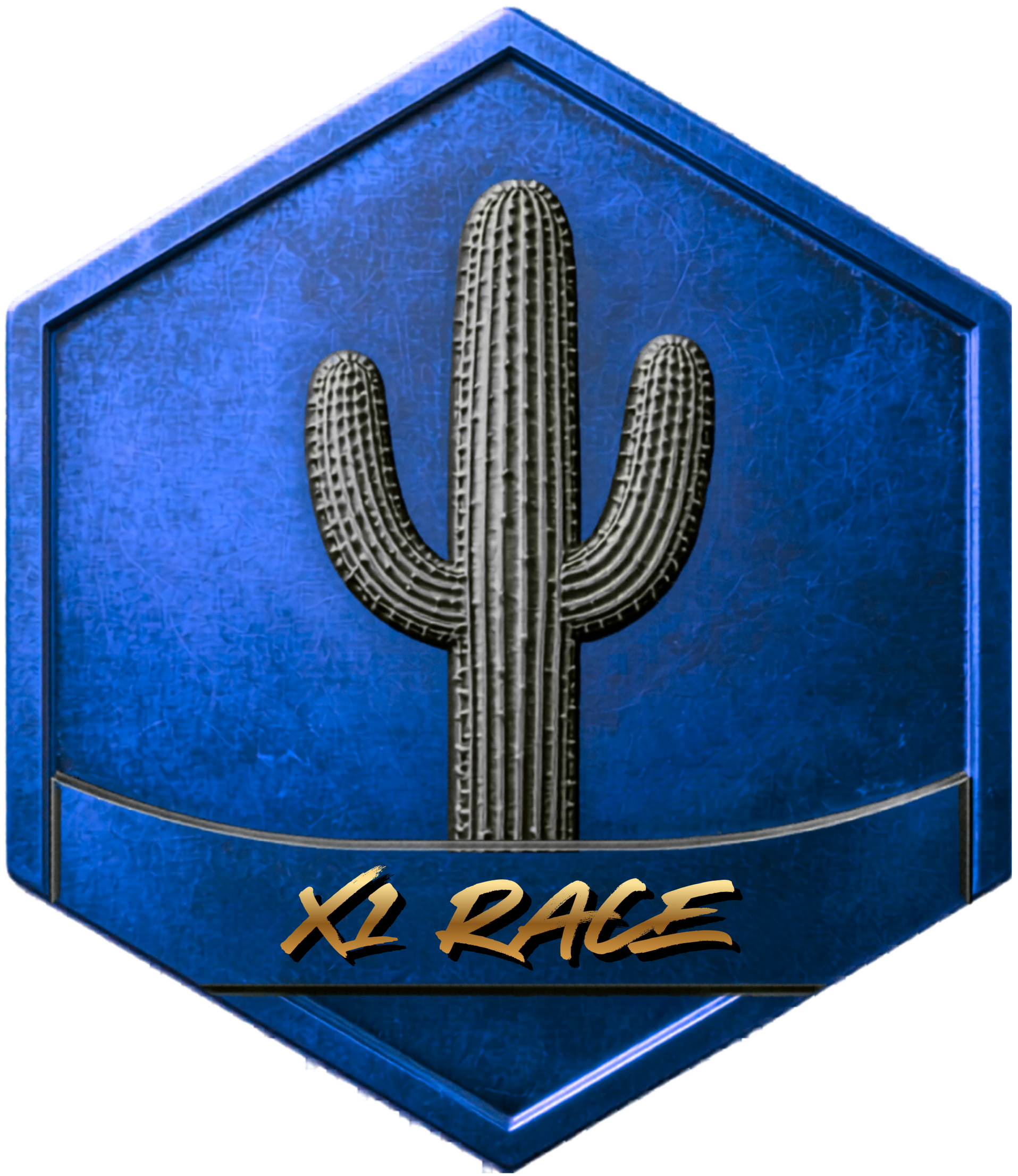 Blue three-dimensional cube with a beige cactus illustration on the front face and the words 'XL RACE' in black and beige below it.