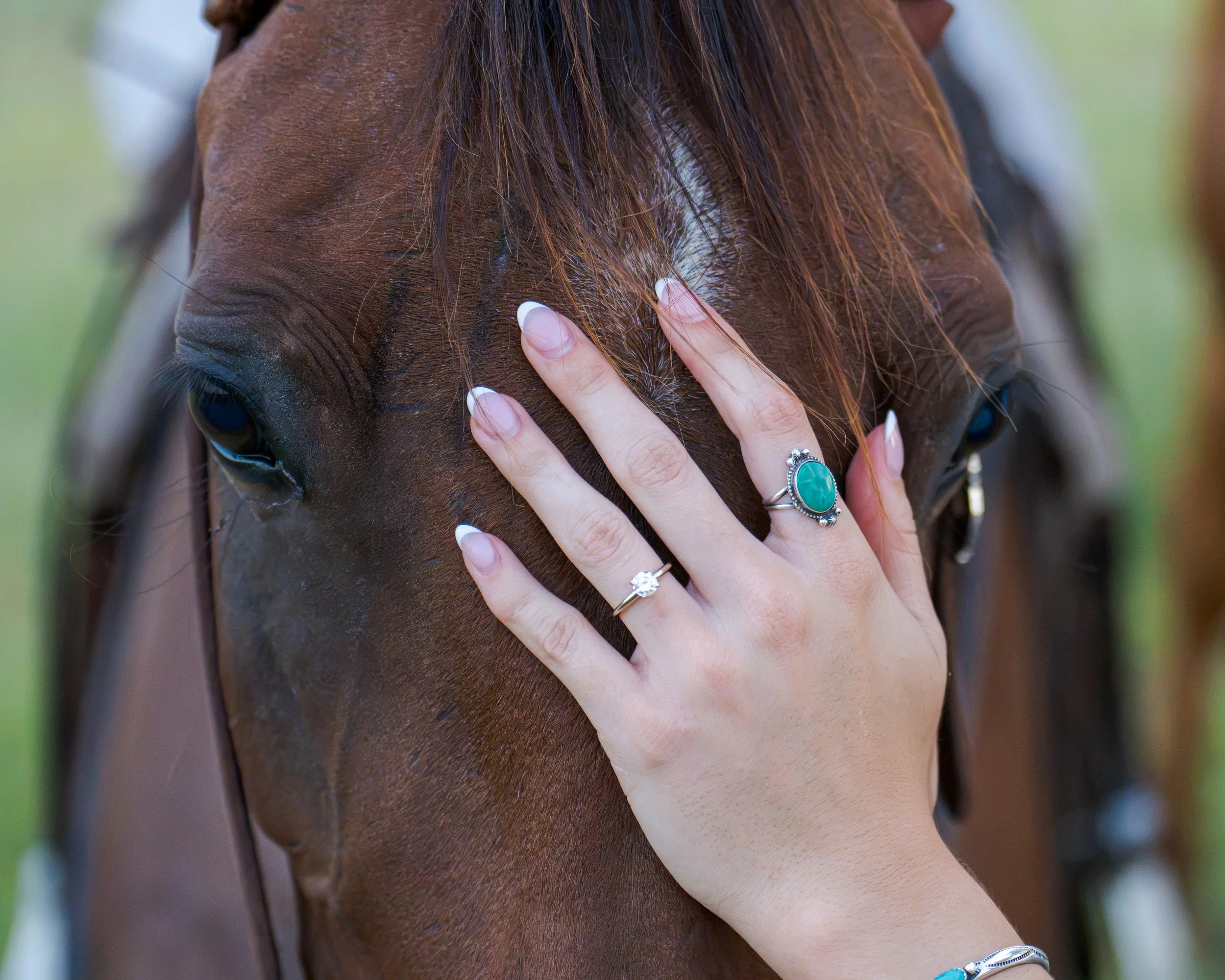 Izaels & Korbyn Proposal -10.jpg