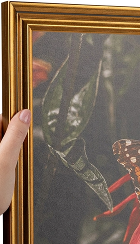 A person holding a framed picture of a butterfly and a plant.