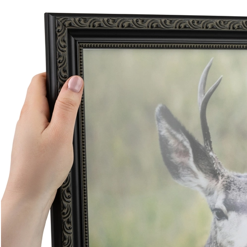 A person's hand holding a decorative black frame with a photograph of a deer with antlers.