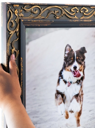 A hand holding a framed photograph of an energetic Australian Shepherd dog running outdoors on a sandy surface.