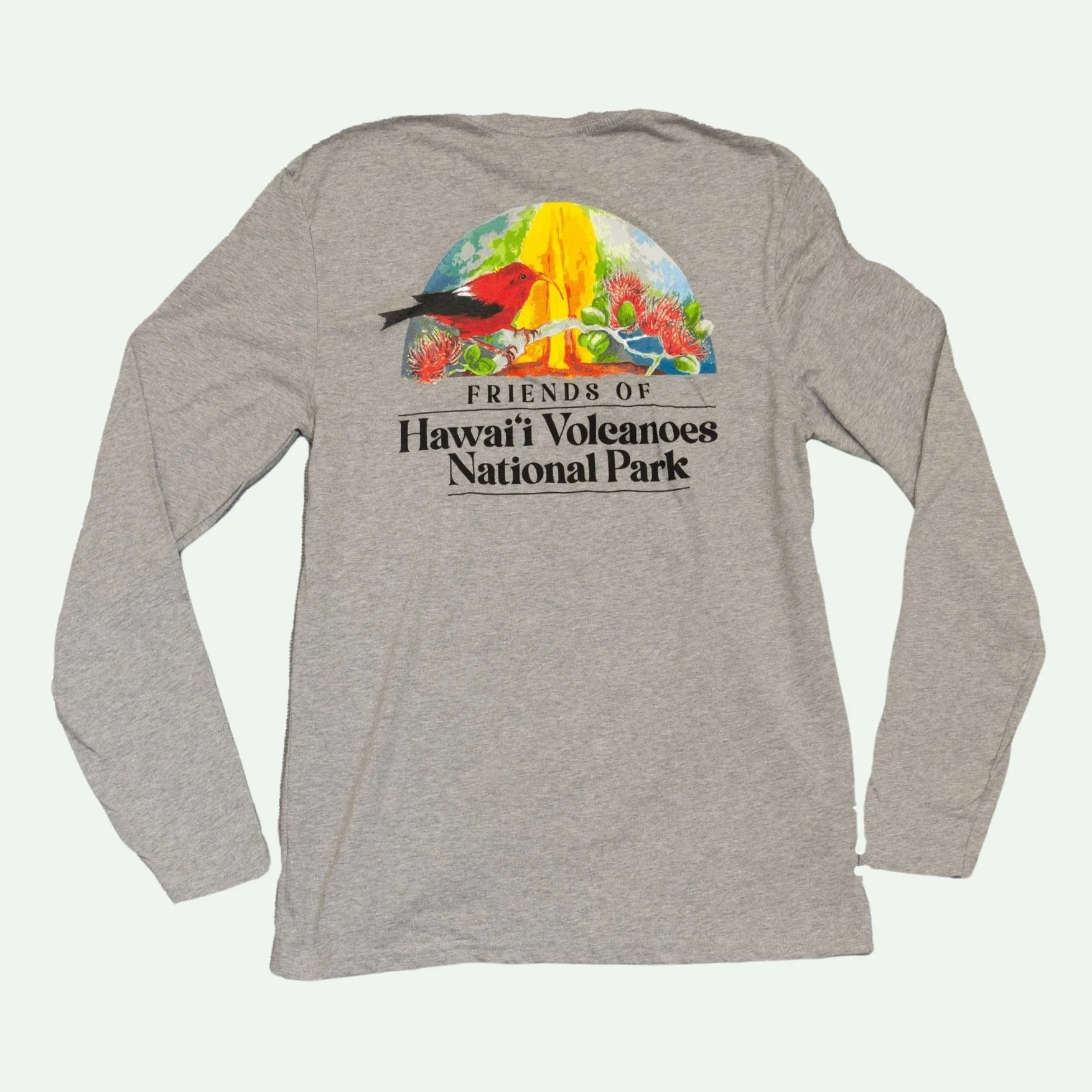 Hawaii-volcanoes-friends-shirt-gray-back.jpg
