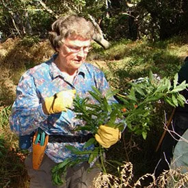 Linda-Jane Irwin