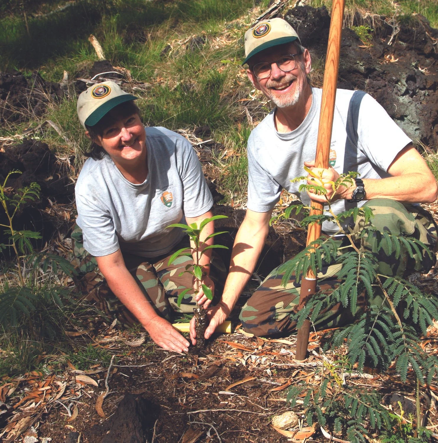 Forest Restoration 2012 and Beyond